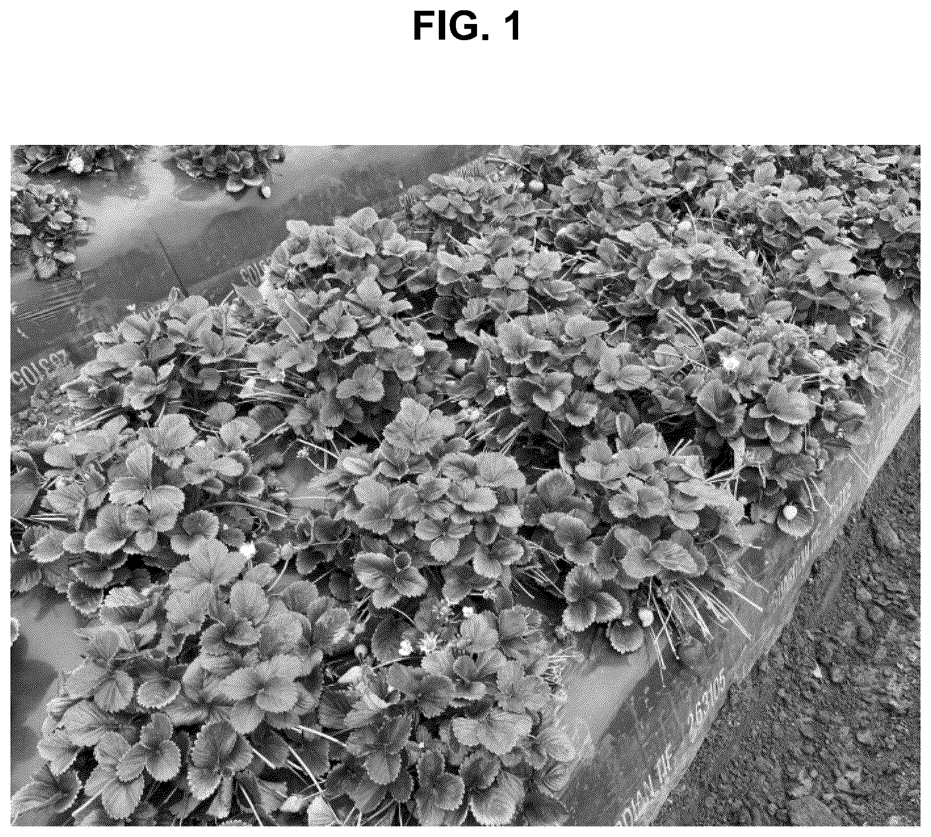 Patent USPP036822 Figure 1 – Strawberry plant named ‘BG-15.490.061’