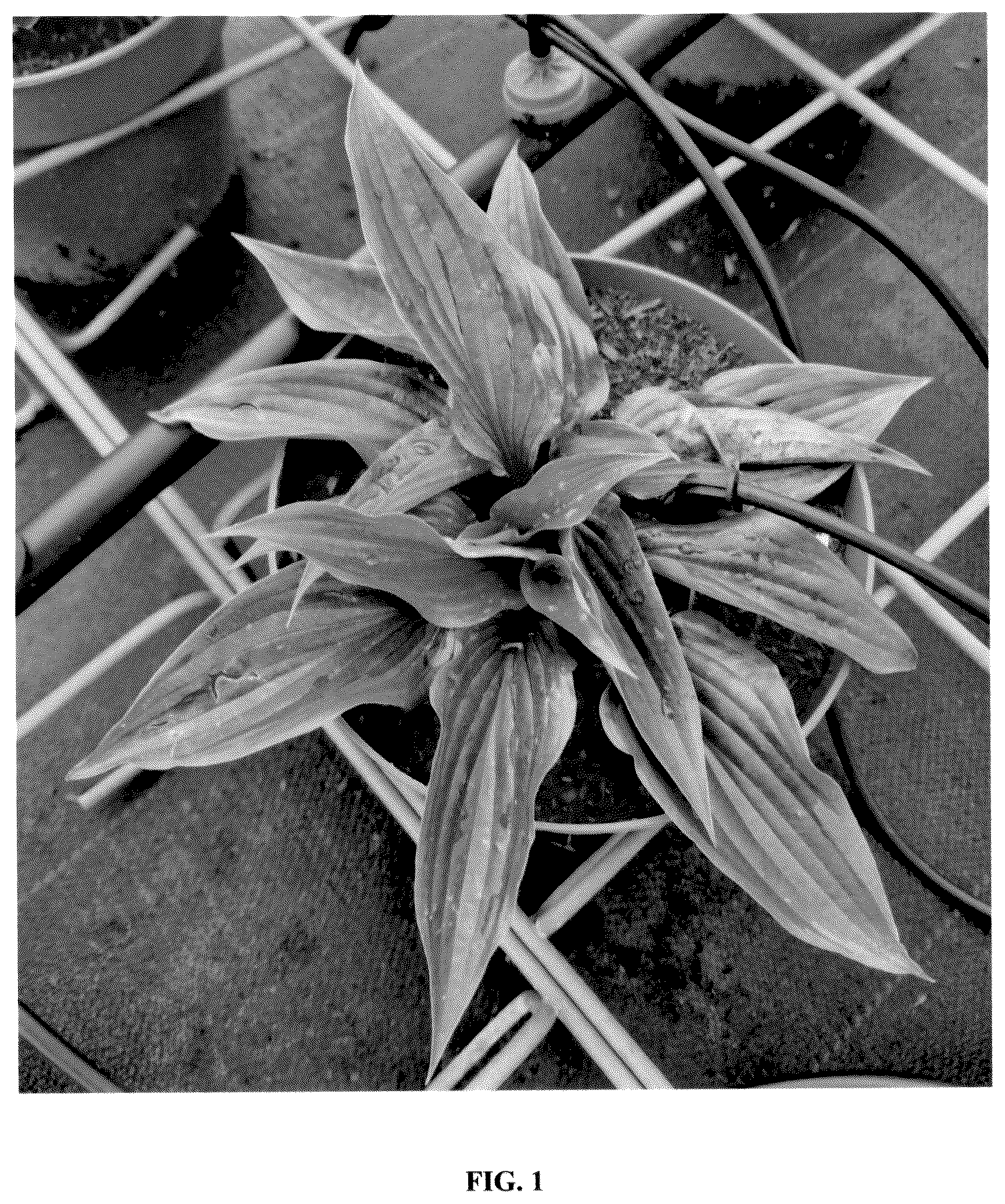 Patent USPP036830 Figure 1 – Hosta plant named ‘NK2021’