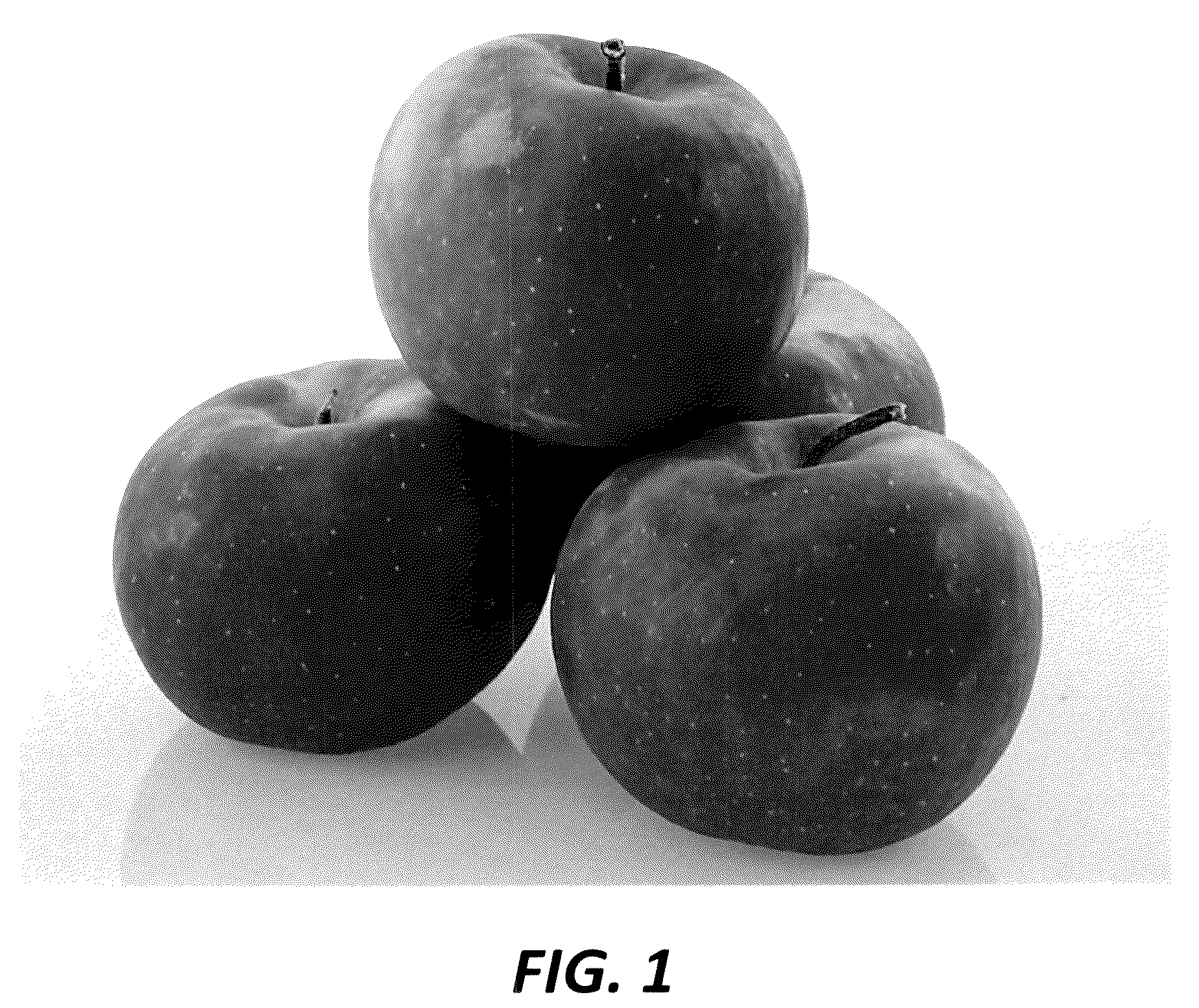 Patent USPP036839 — Apple tree named ‘PremA047’ — Figure 1