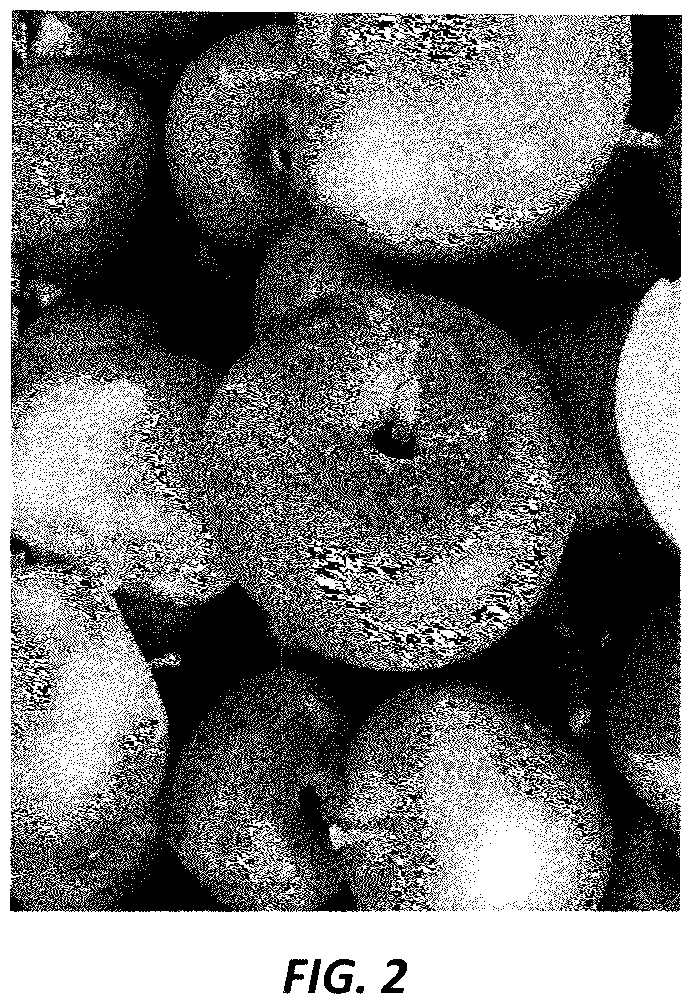 Patent USPP036839 Figure 2 – Apple tree named ‘PremA047’