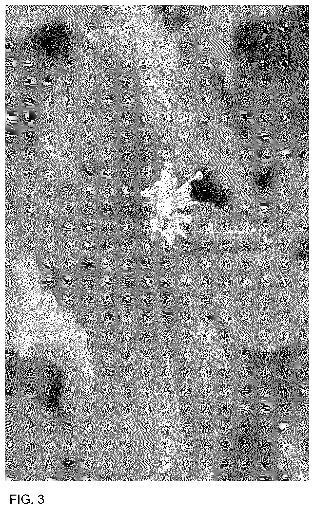 Patent USPP036845 Figure 3 – Diervilla plant named ‘SMNDSF’
