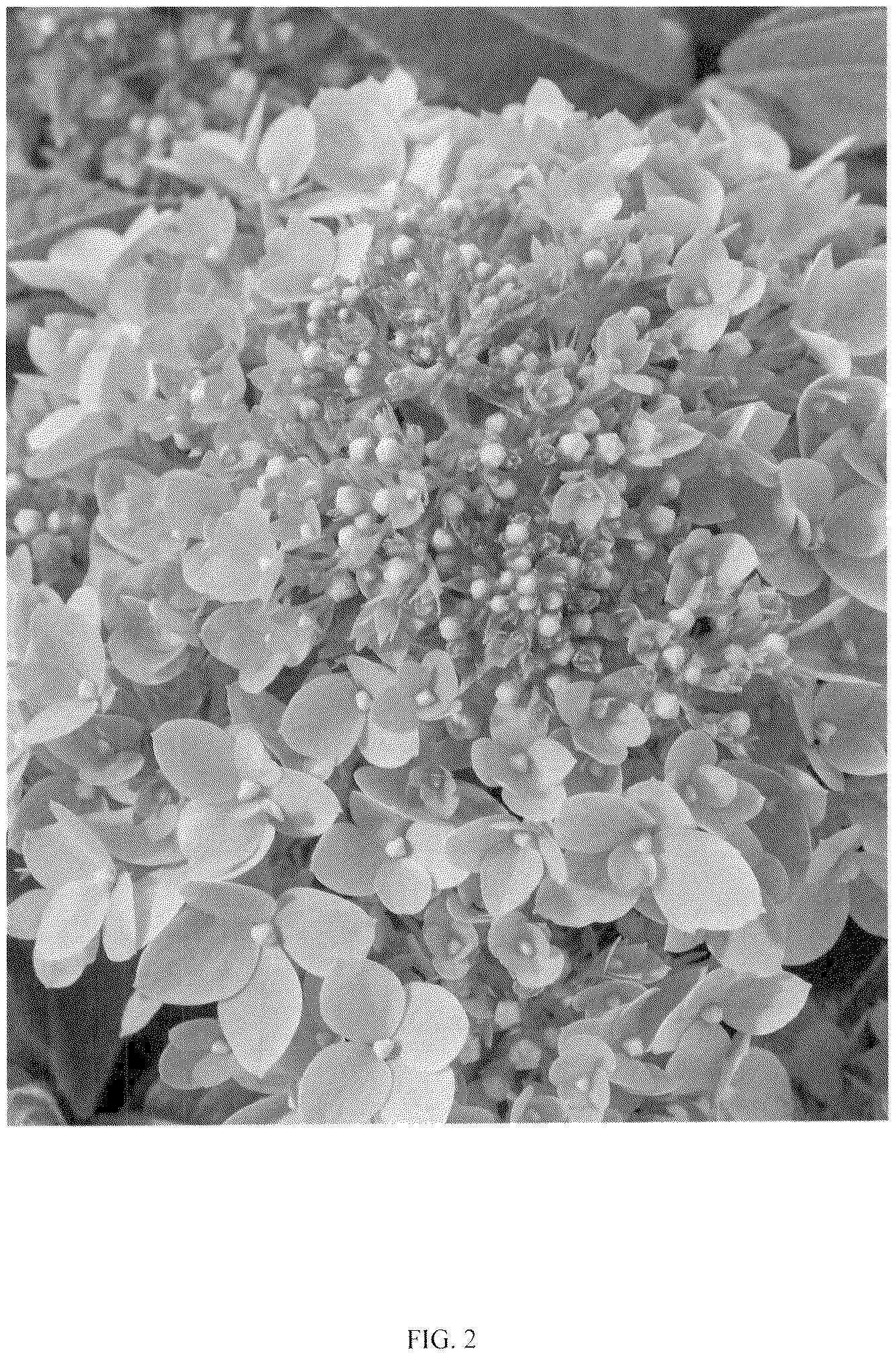 Patent USPP036849 Figure 2 – Hydrangea plant named ‘LC NO24’