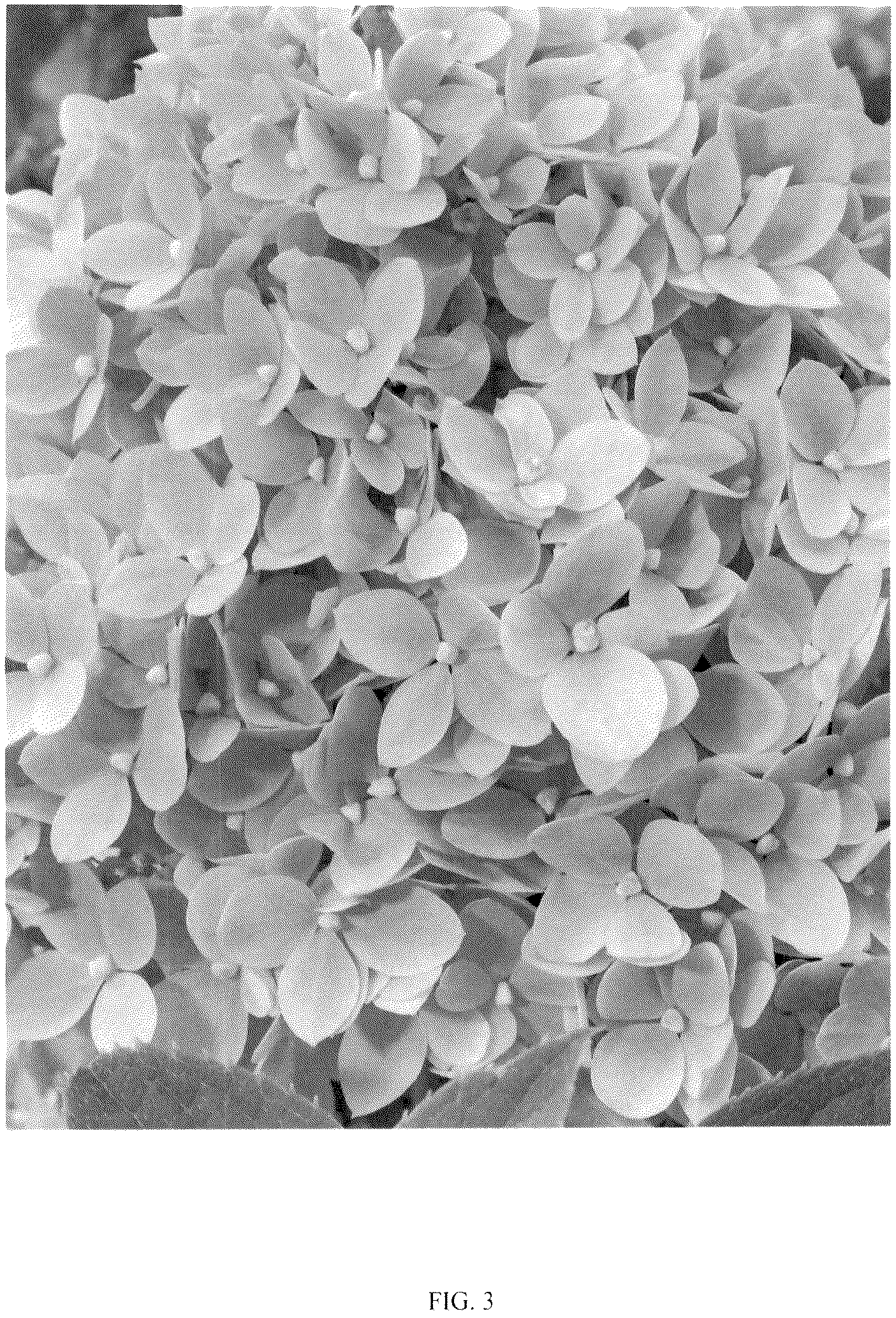 Patent USPP036849 Figure 3 – Hydrangea plant named ‘LC NO24’