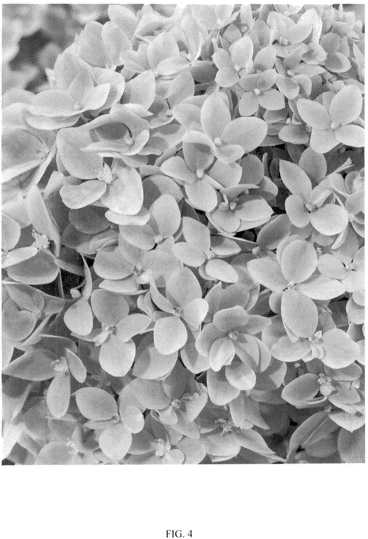 Patent USPP036849 Figure 4 – Hydrangea plant named ‘LC NO24’