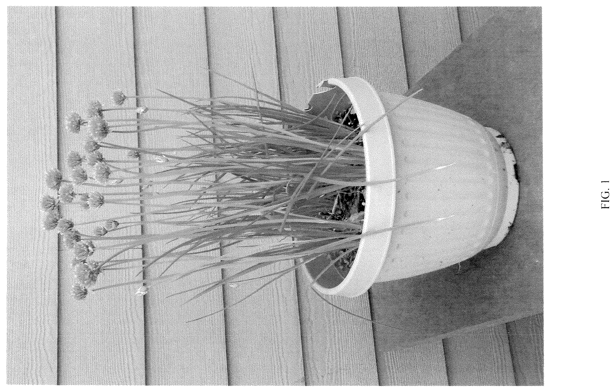 Patent USPP036850 Figure 1 – Allium plant named ‘G22087’