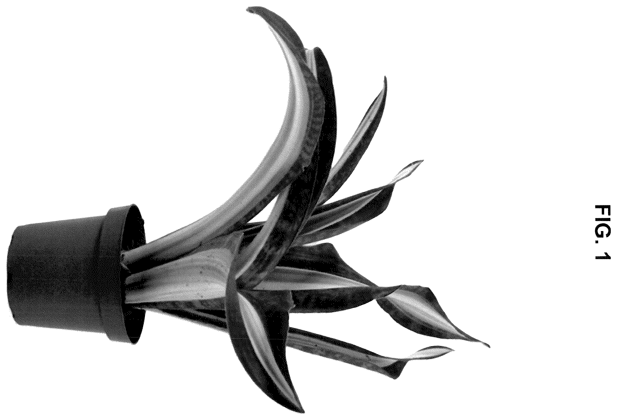 Patent USPP036857 Figure 1 – Sansevieria plant named ‘WHITE STAR’