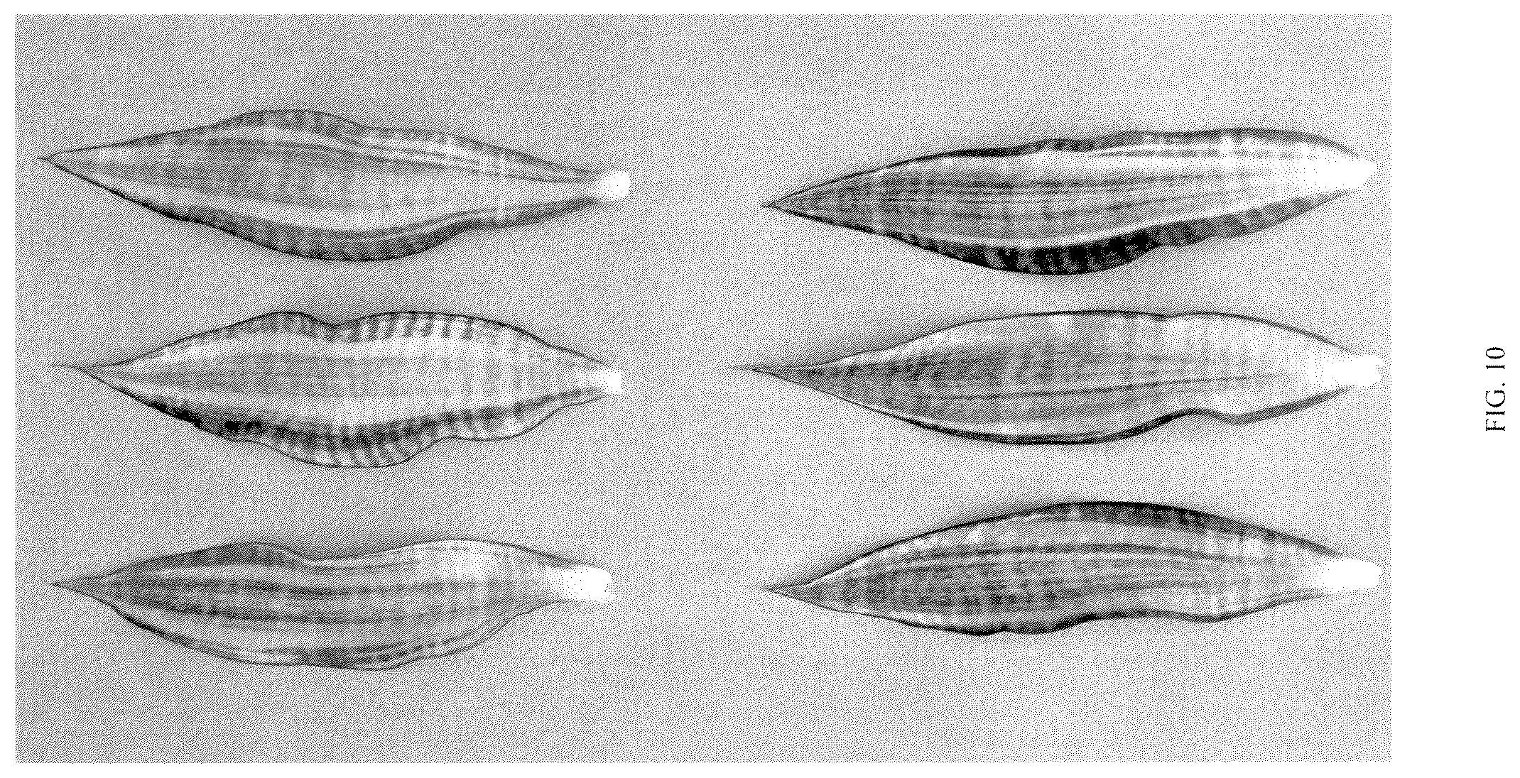 Patent USPP036860 Figure 10 – Sansevieria plant named ‘Hansoti57’