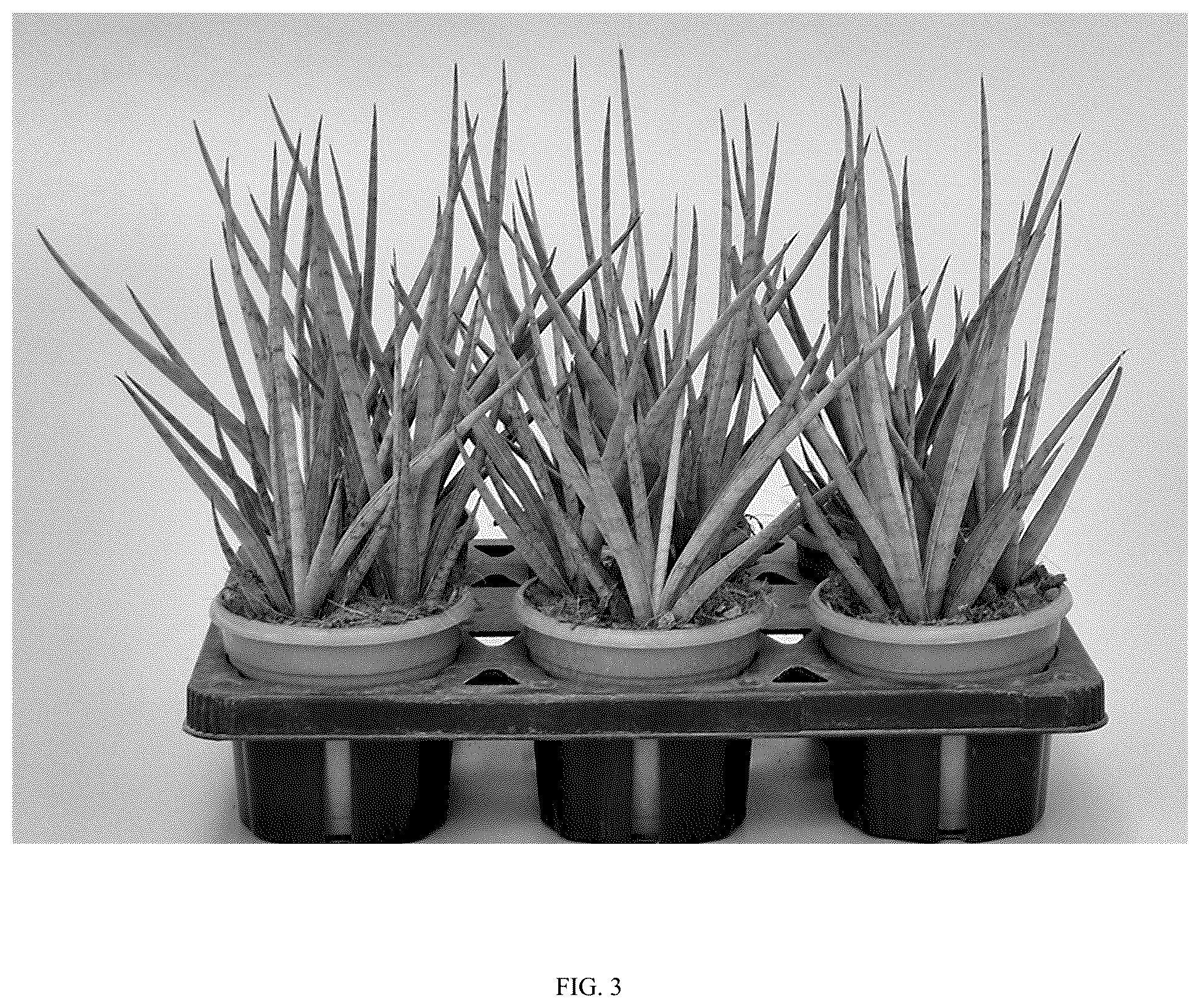 Patent USPP036862 Figure 3 – Sansevieria plant named ‘Hansoti60’