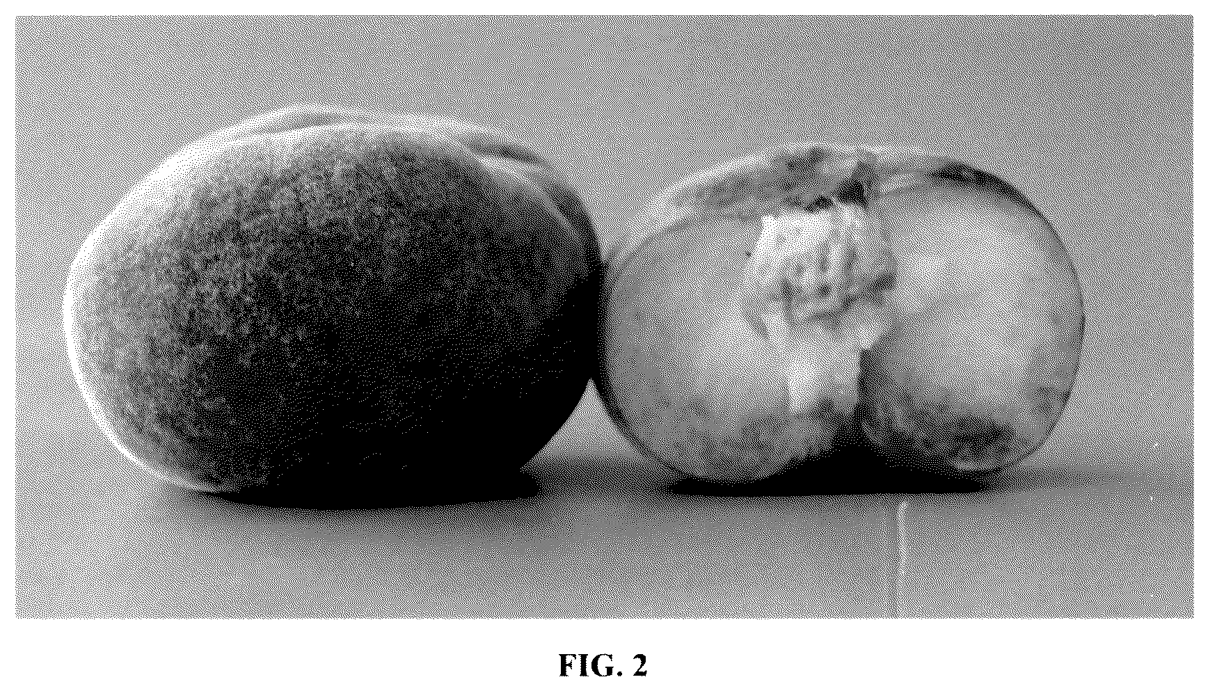 Patent USPP036872 Figure 2 – Peach tree named ‘Flat Delight Three’