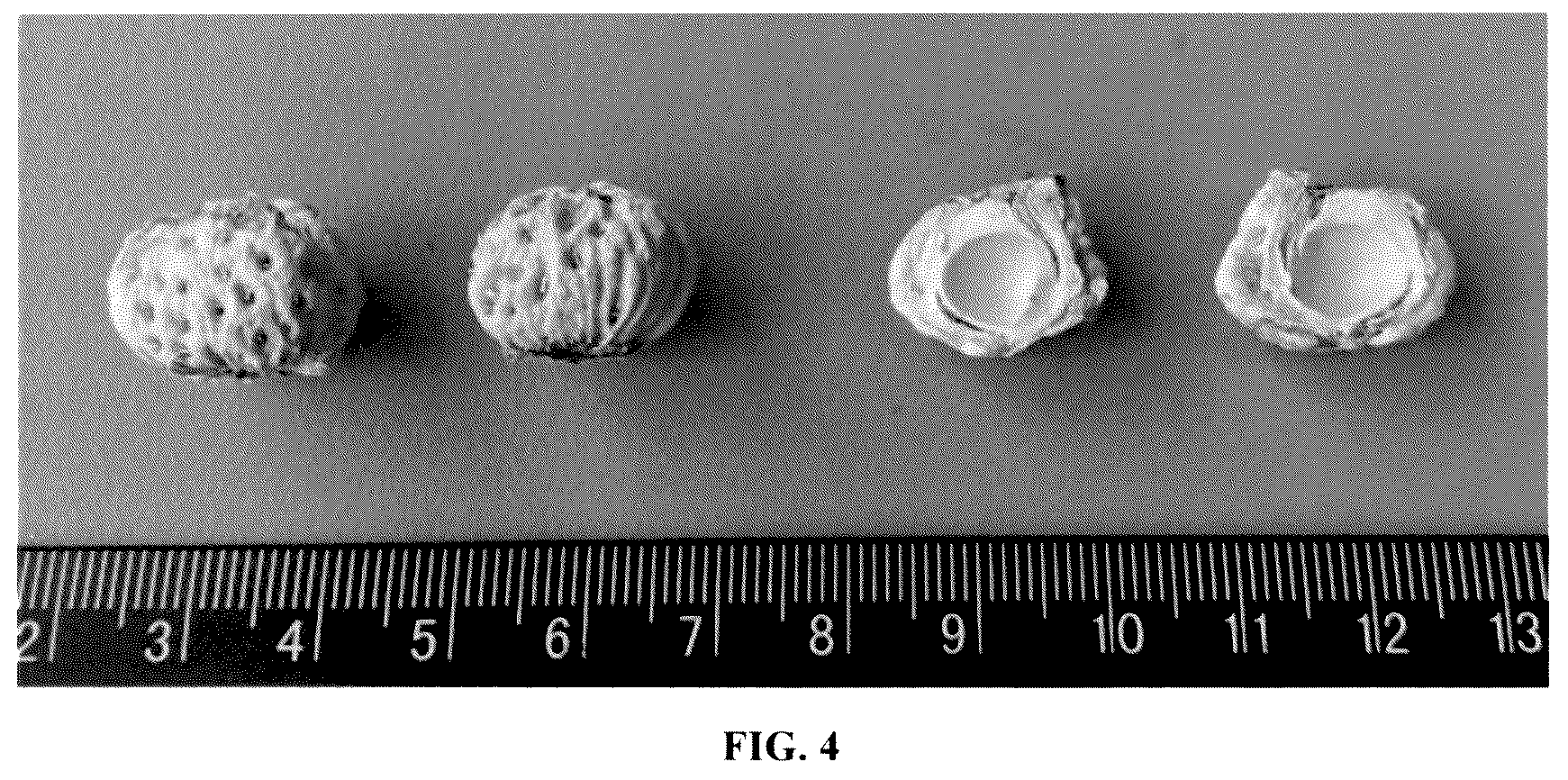 Patent USPP036872 Figure 4 – Peach tree named ‘Flat Delight Three’