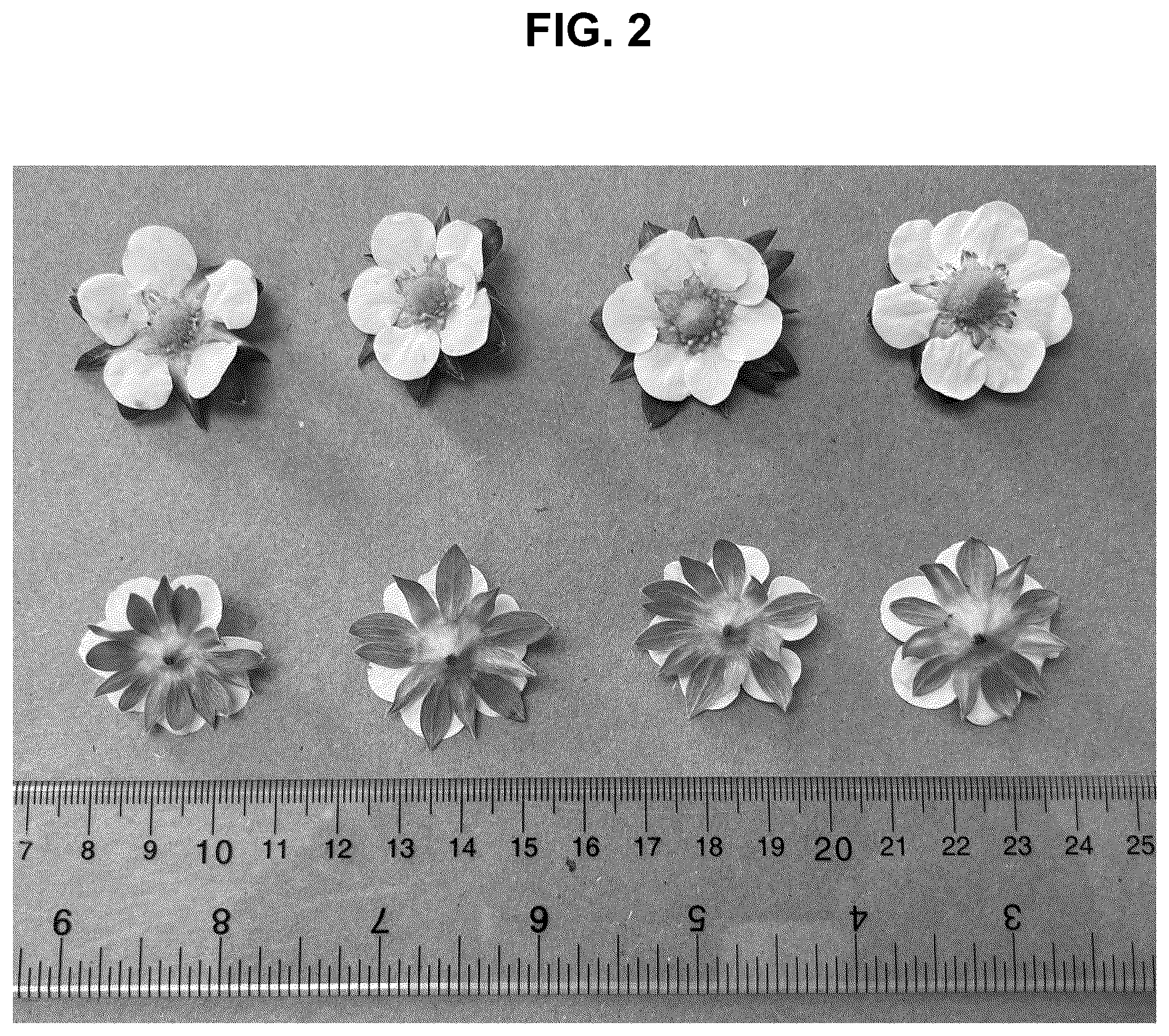 Patent USPP036874 Figure 2 – Strawberry plant named ‘BG-12.3254’