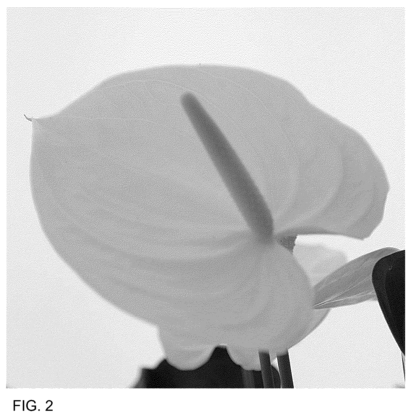 Patent USPP036880 Figure 2 – Anthurium plant named ‘AN2192908’