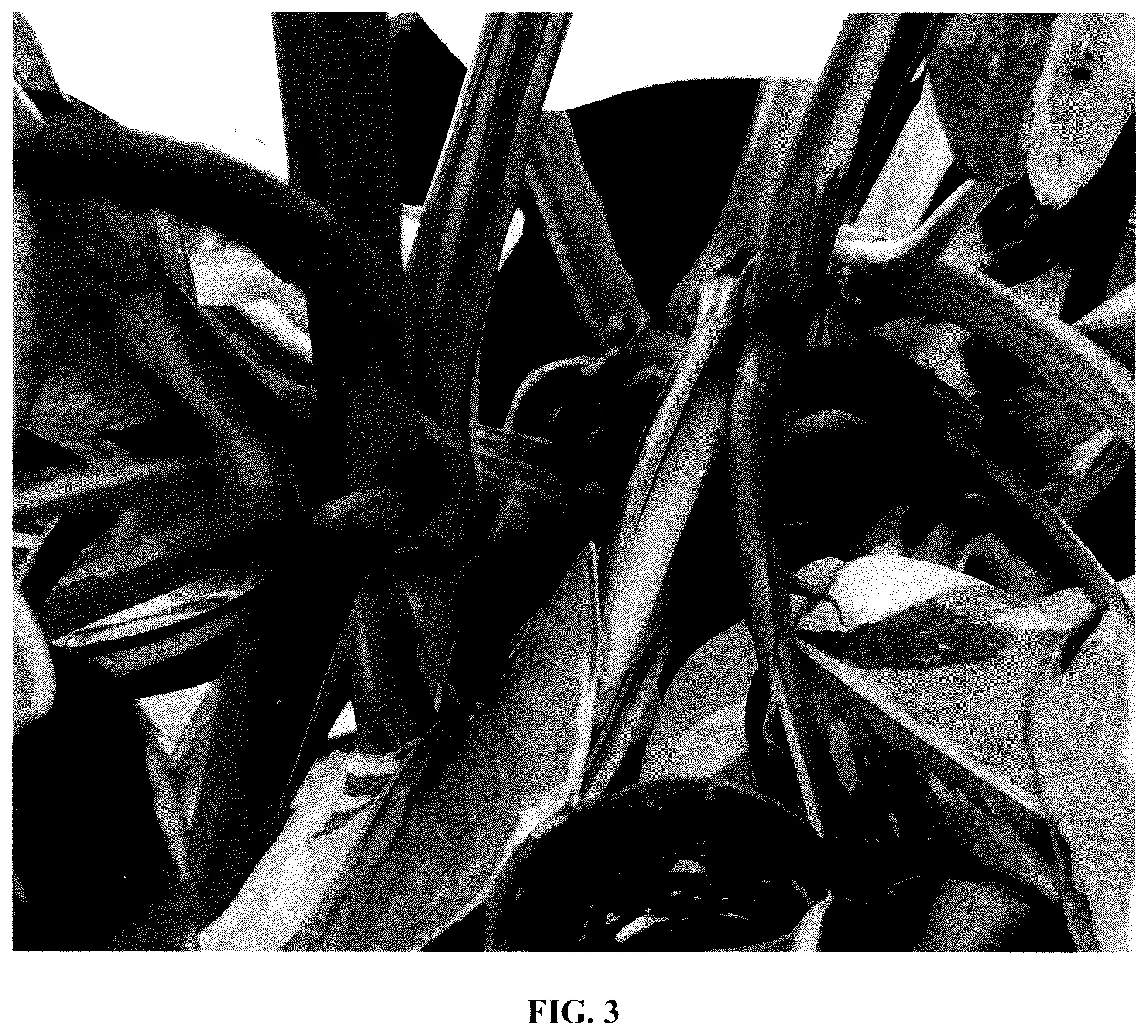 Patent USPP036881 Figure 3 – Philodendron plant named ‘EM0003’