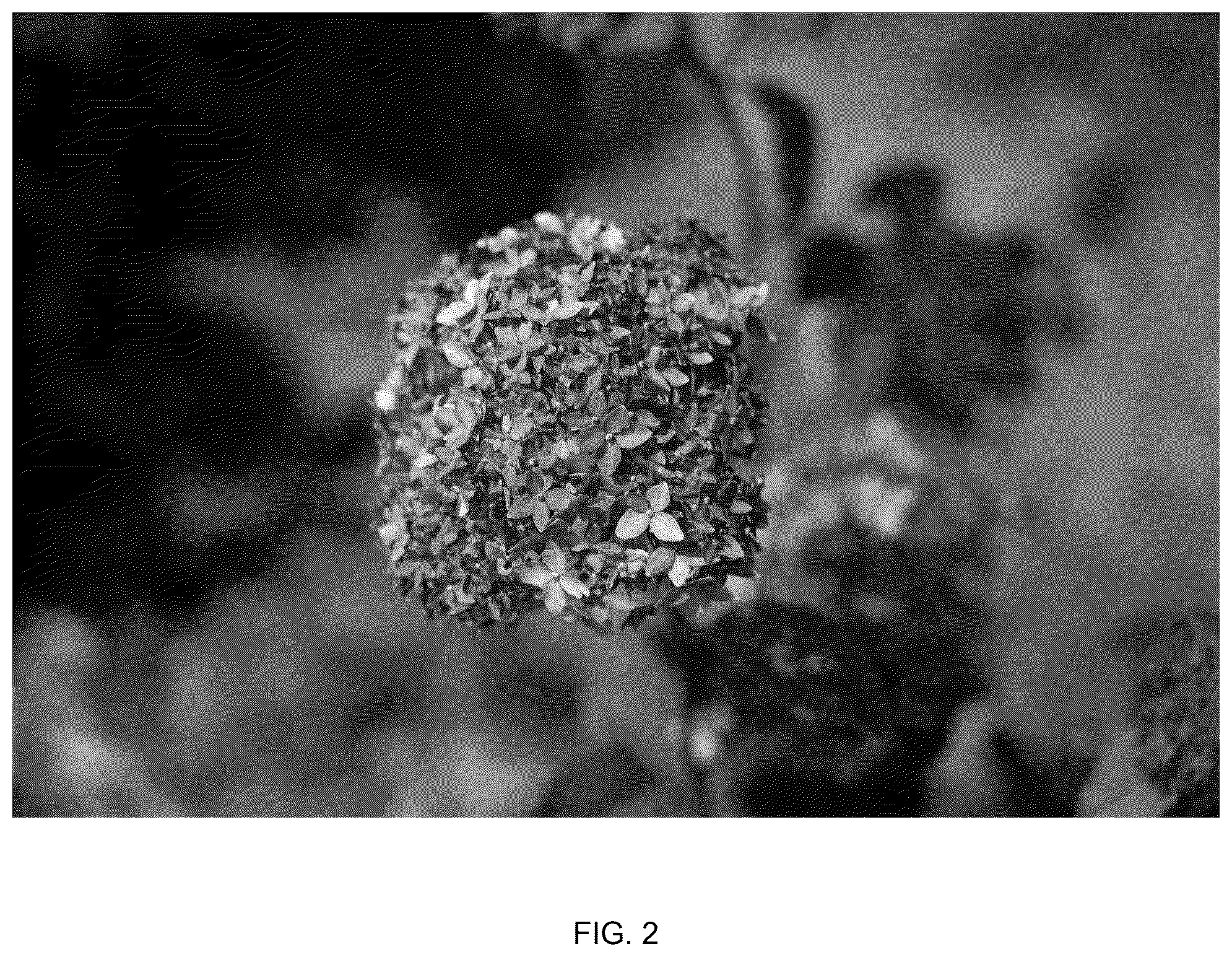 Patent USPP036899 Figure 2 – Hydrangea plant named ‘3792resgea’