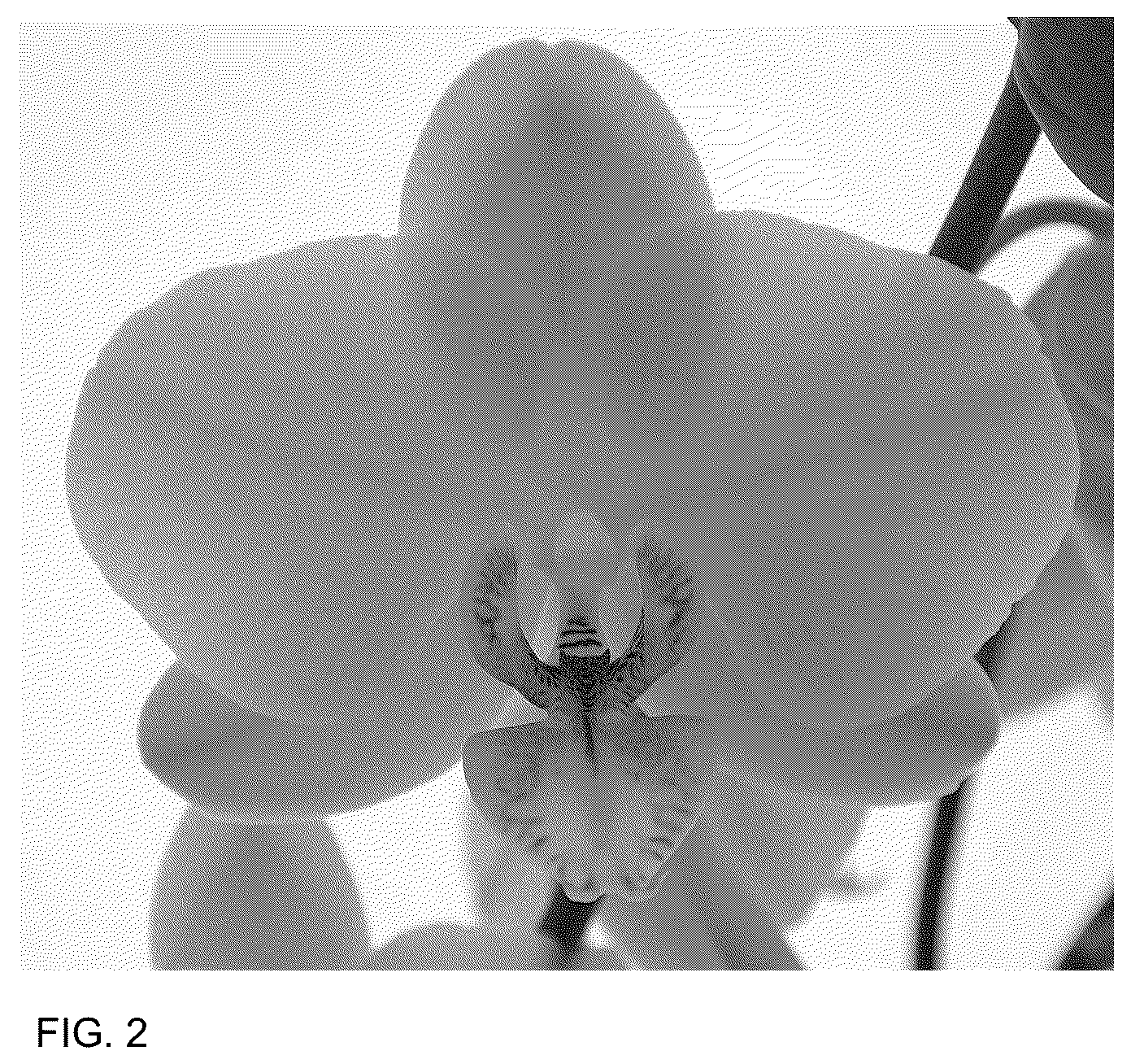 Patent USPP036901 Figure 2 – Phalaenopsis plant named ‘Sister Sunshine’