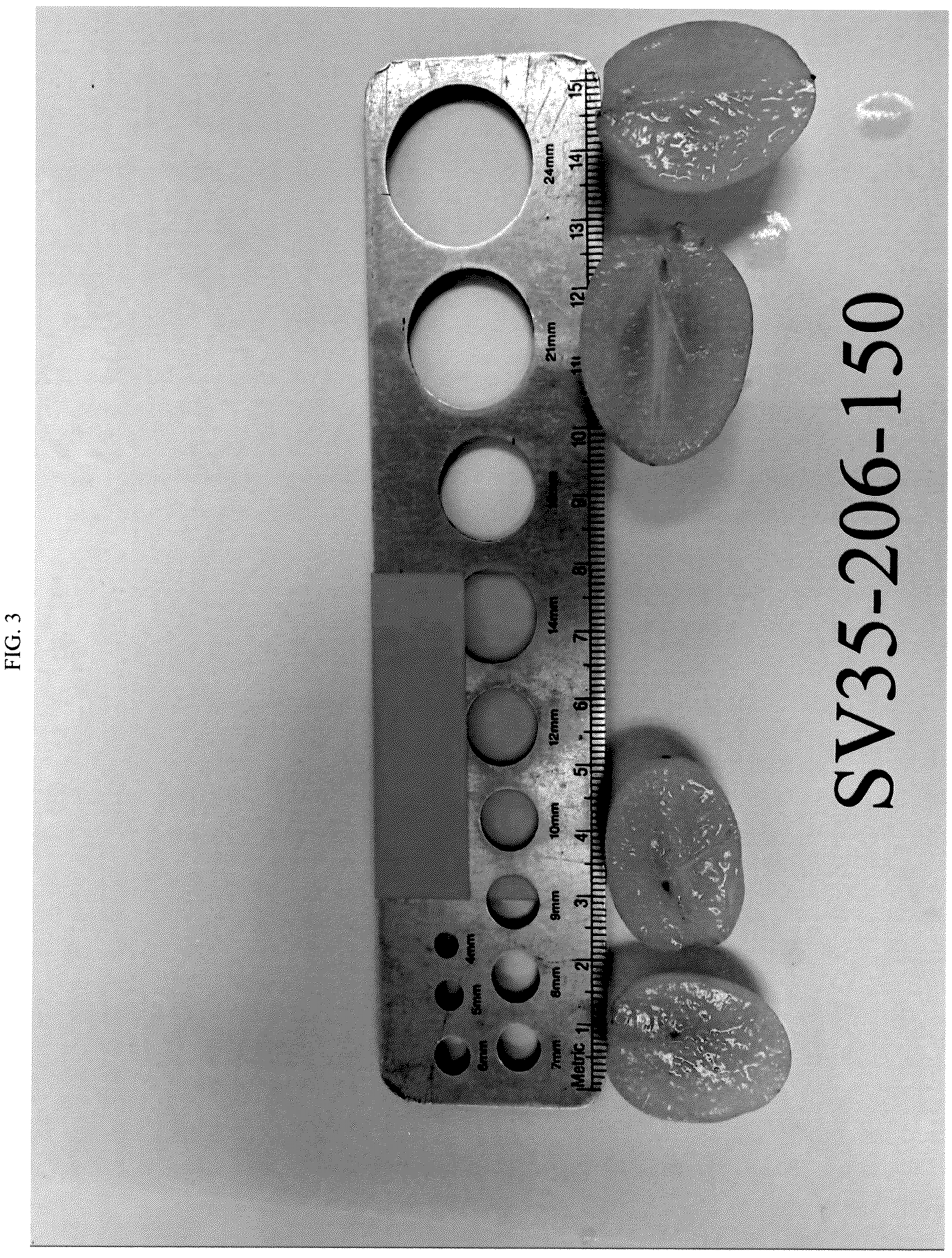 Patent USPP036983 Figure 3 – Grapevine named ‘SV35-206-150’