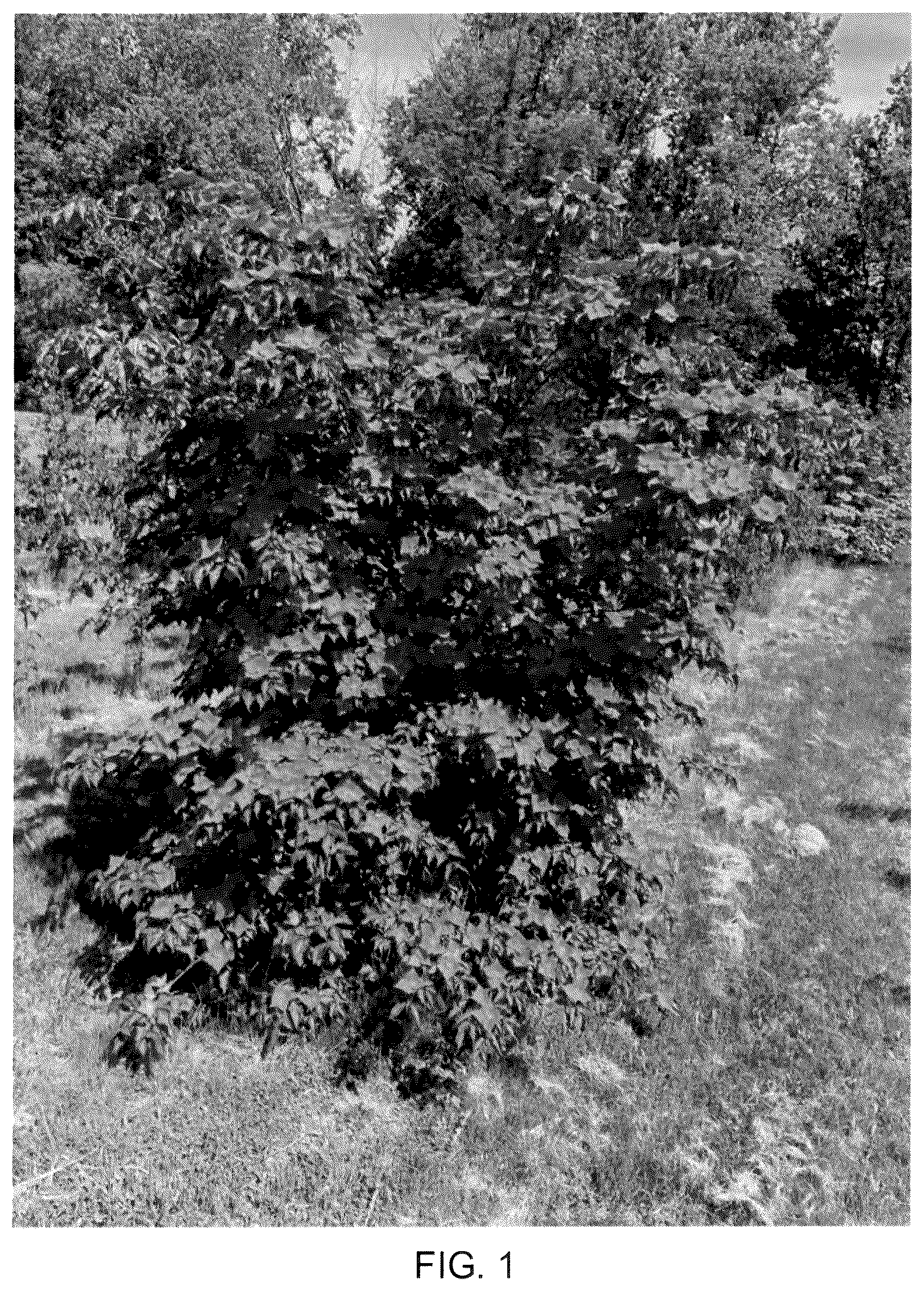 Patent USPP036985 Figure 1 – Cornus tree named ‘Rutglow’