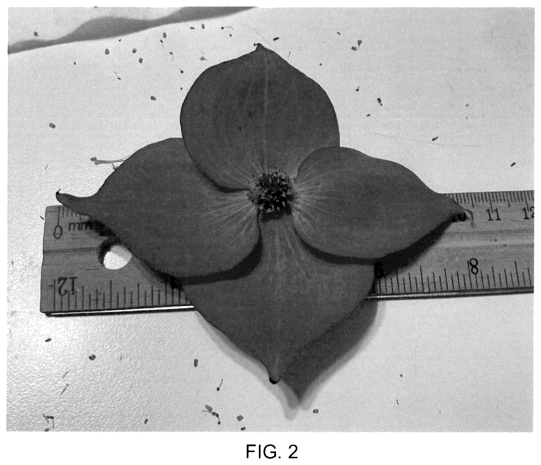 Patent USPP036985 Figure 2 – Cornus tree named ‘Rutglow’