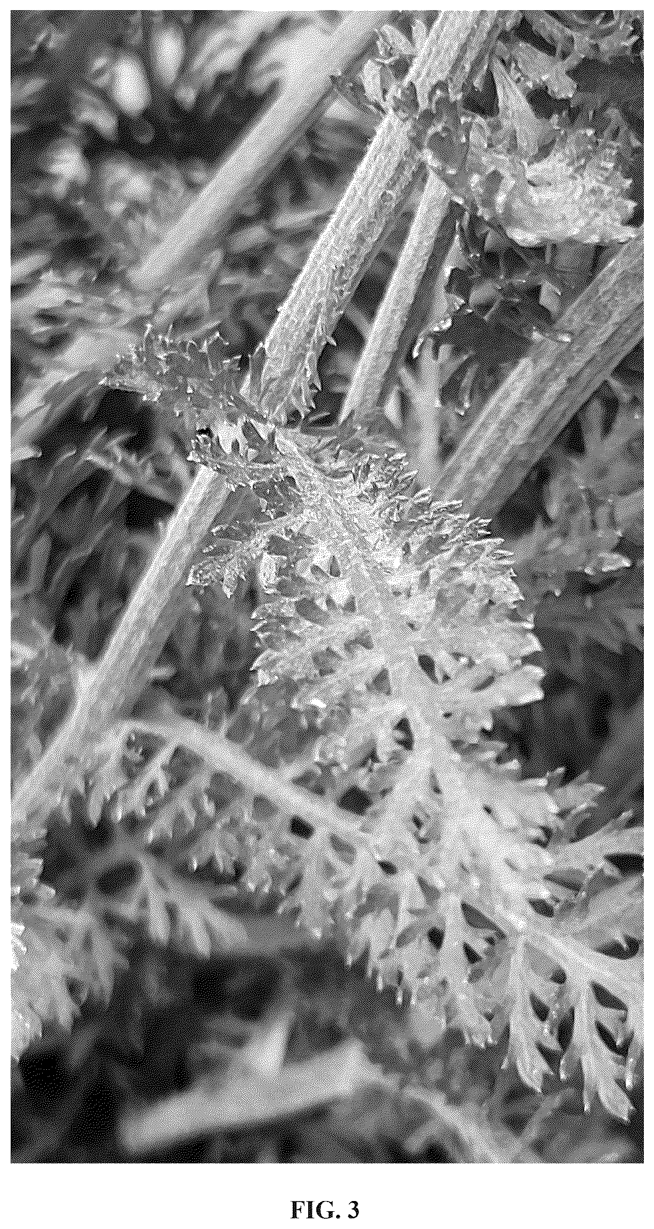 Patent USPP036989 Figure 3 – Achillea plant named ‘Versred’