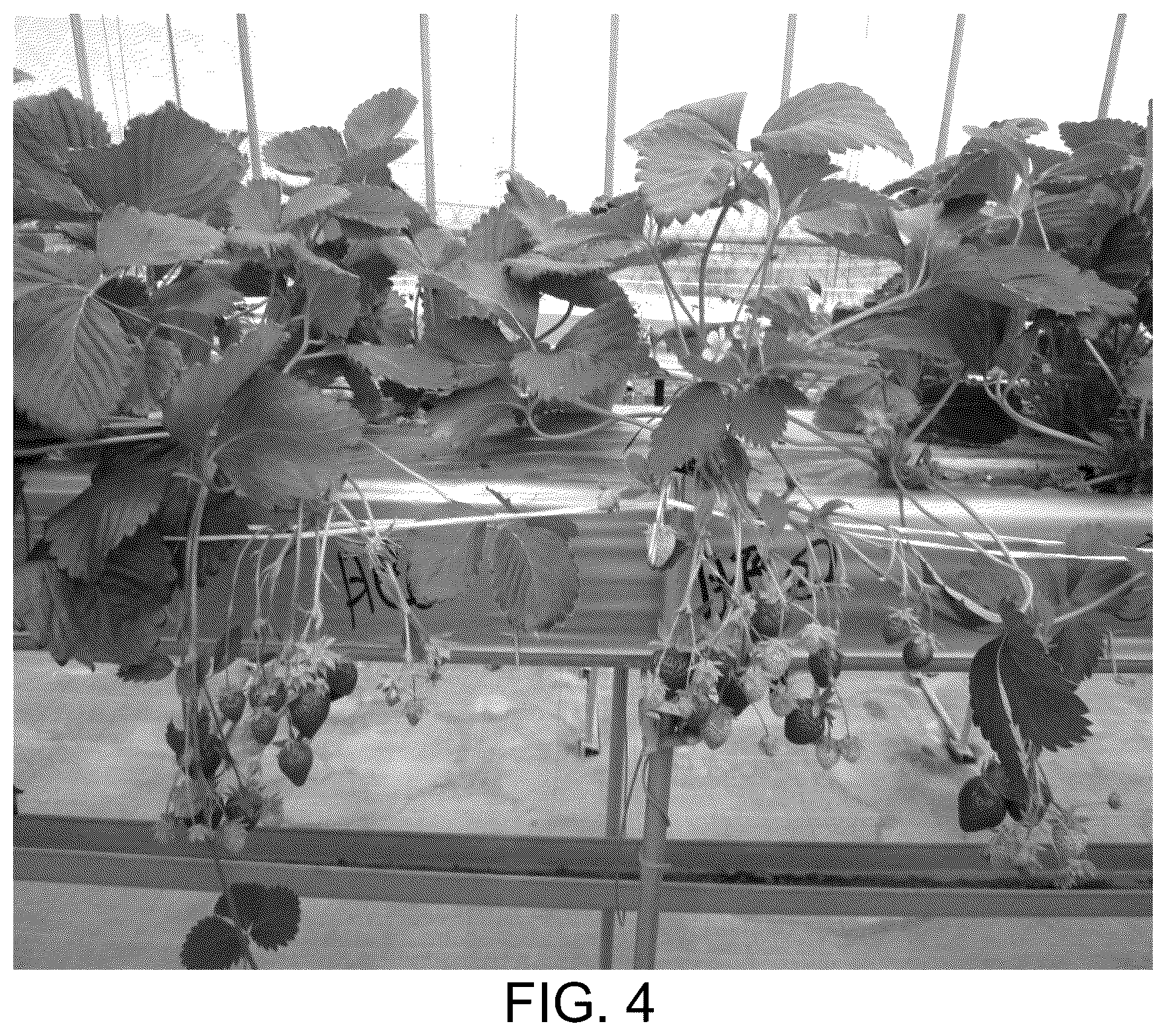 Patent USPP037037 Figure 2 – Strawberry plant named ‘HOB-R490’