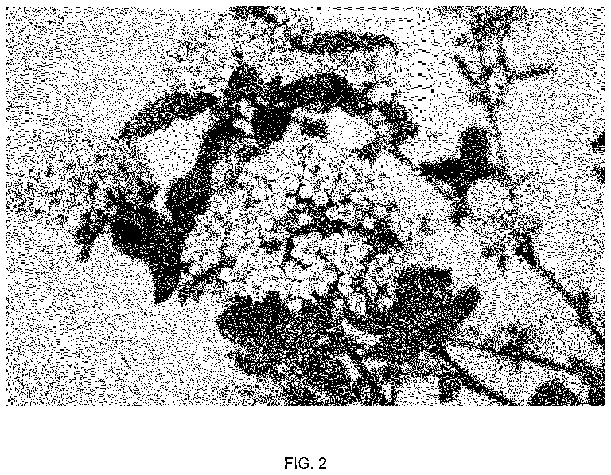 Patent USPP037038 Figure 2 – Viburnum plant named ‘Vibfryhyb’
