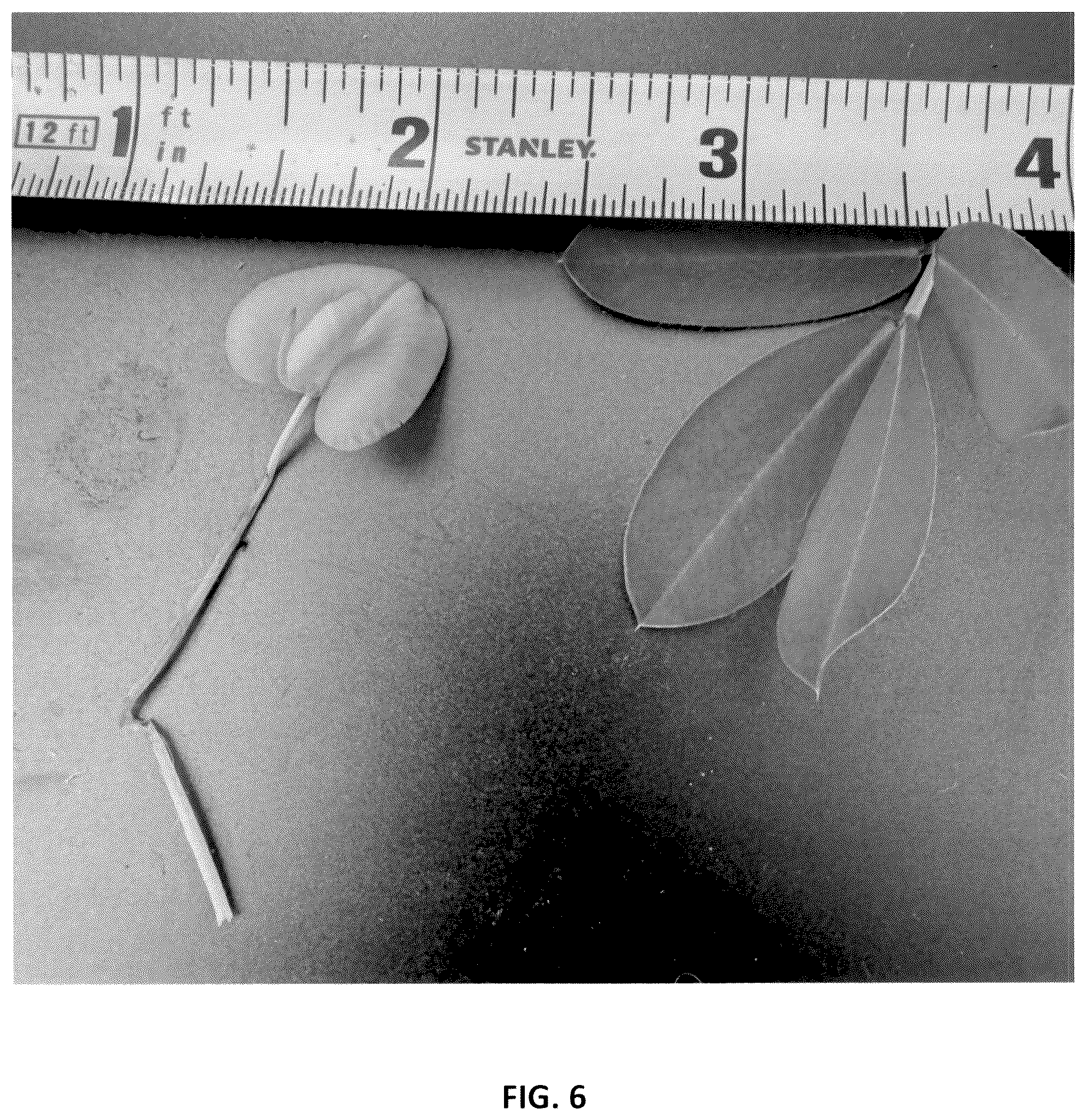 Patent USPP037042 Figure 6 – Perennial peanut plant named ‘Murphy's Pintoi’