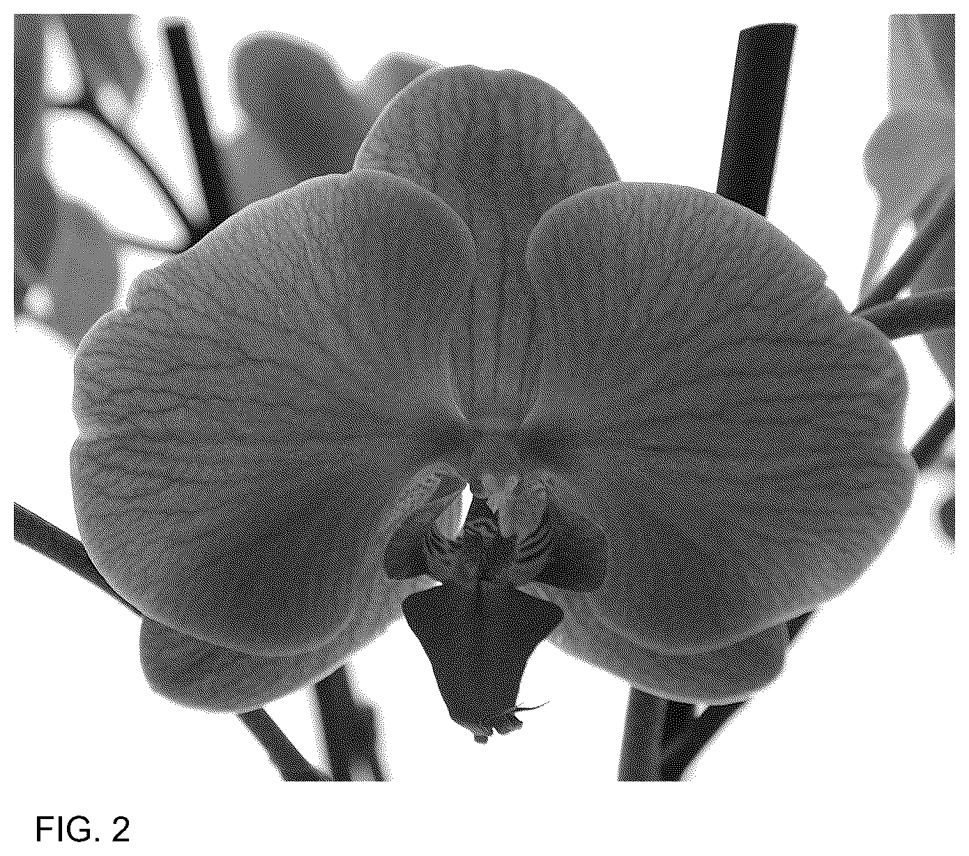 Patent USPP037047 Figure 2 – Phalaenopsis plant named ‘PHA248938’