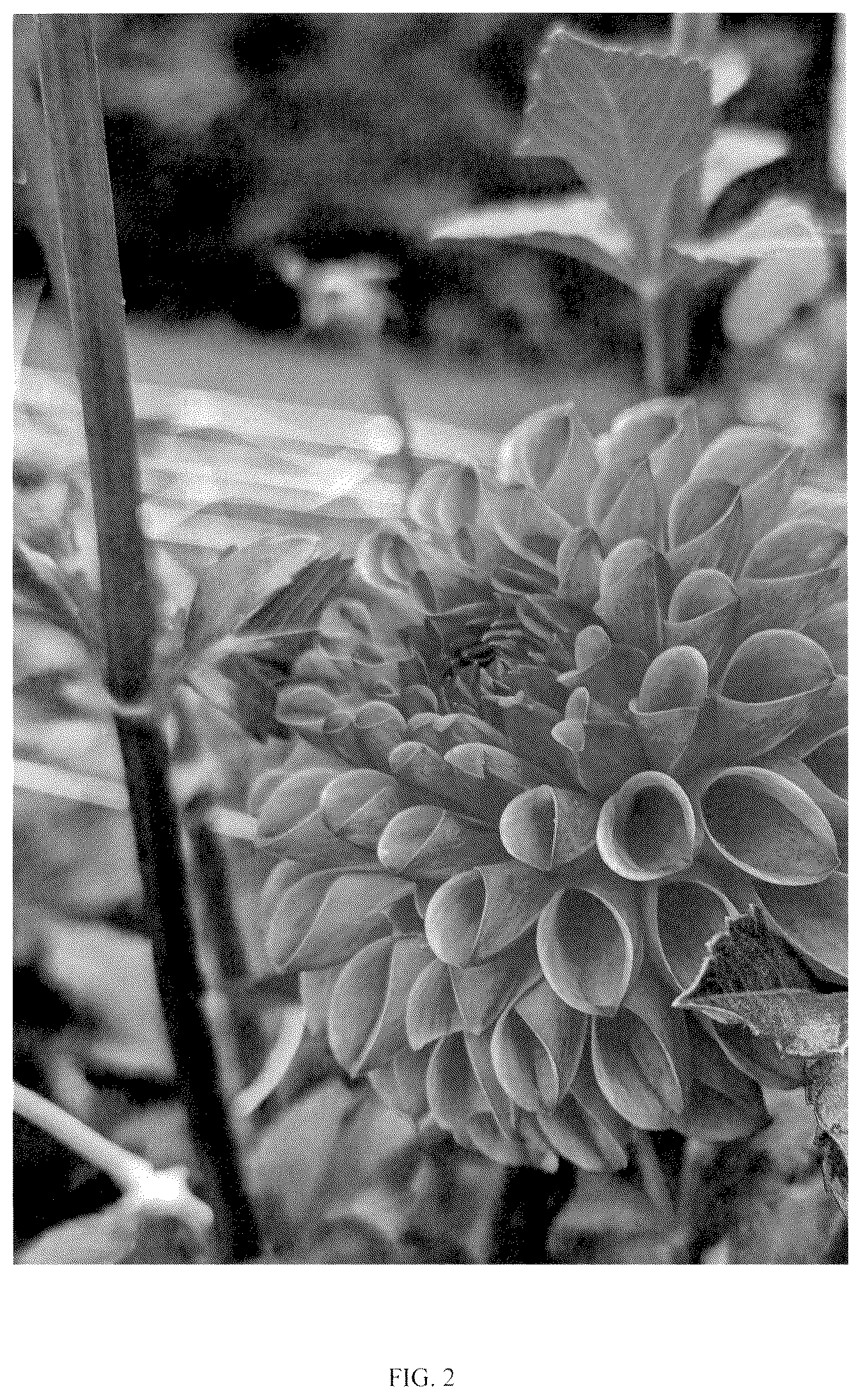 Patent USPP037052 Figure 2 – Dahlia plant named ‘LeeAnn's BA67C’
