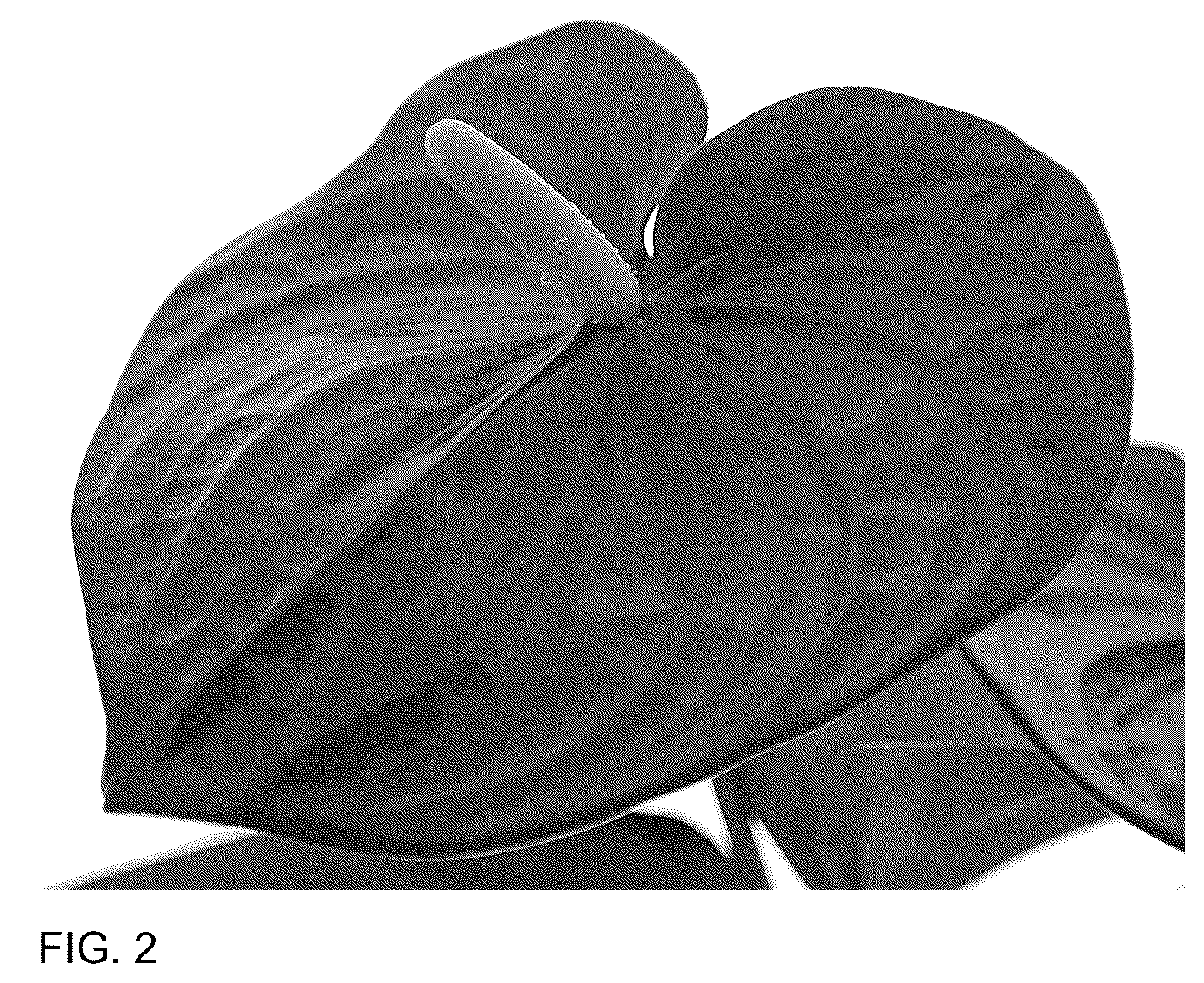 Patent USPP037054 Figure 2 – Anthurium plant named ‘AN2198403’