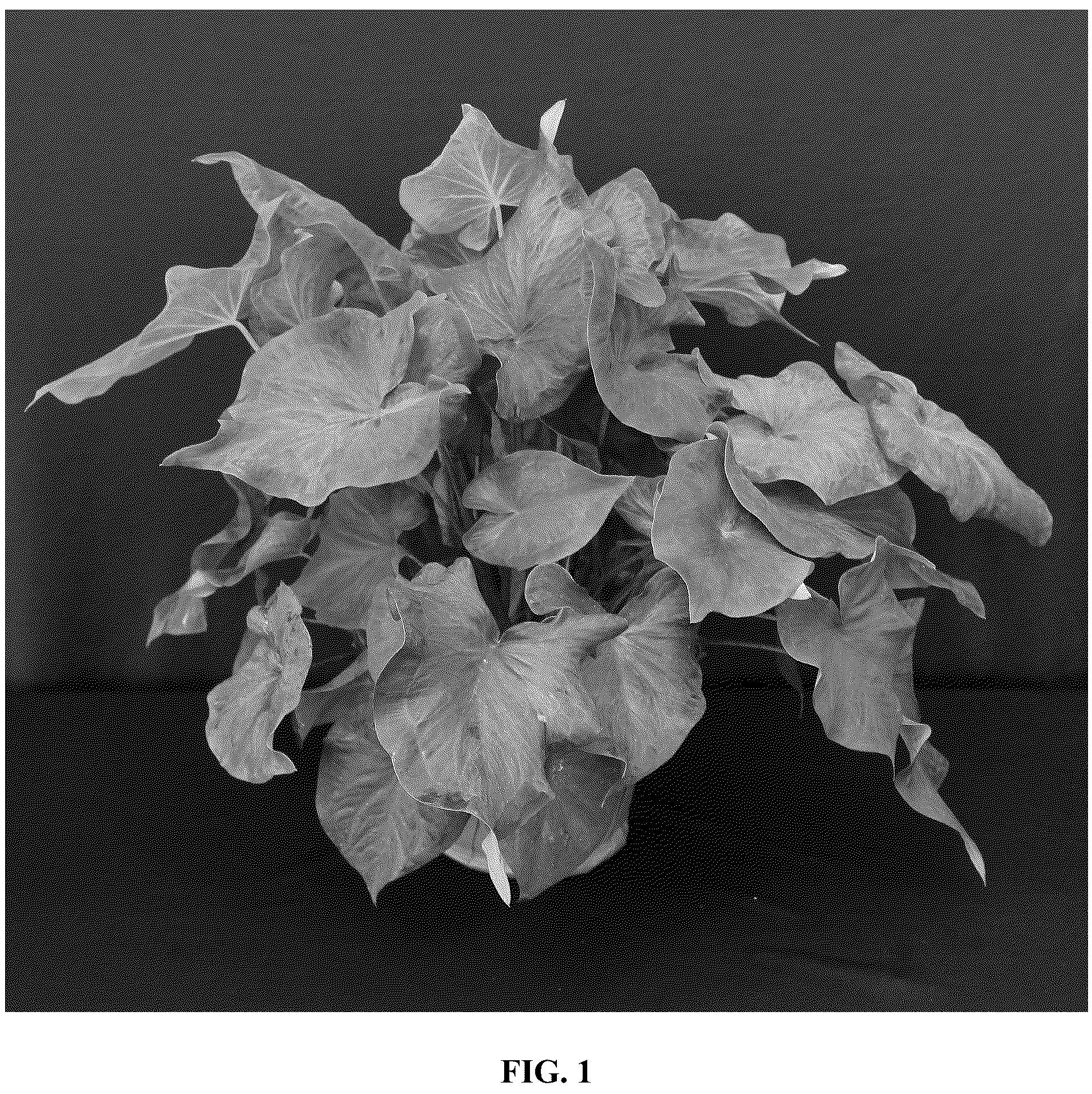 Patent USPP037055 Figure 1 – Caladium plant named ‘UF-15-30’