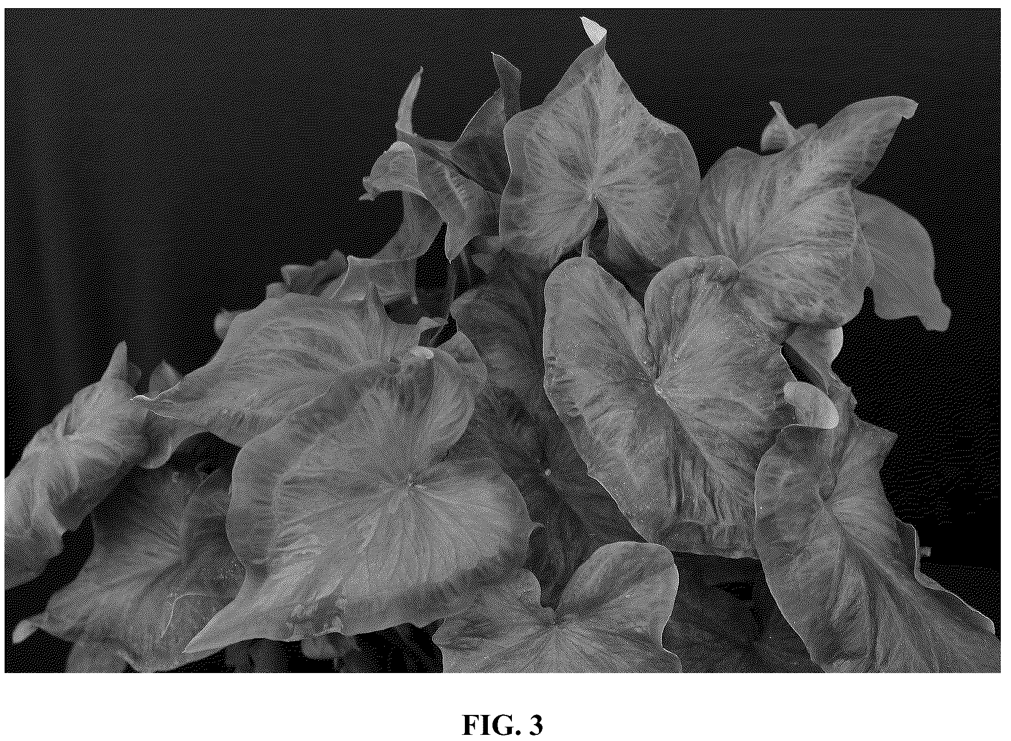 Patent USPP037055 Figure 3 – Caladium plant named ‘UF-15-30’