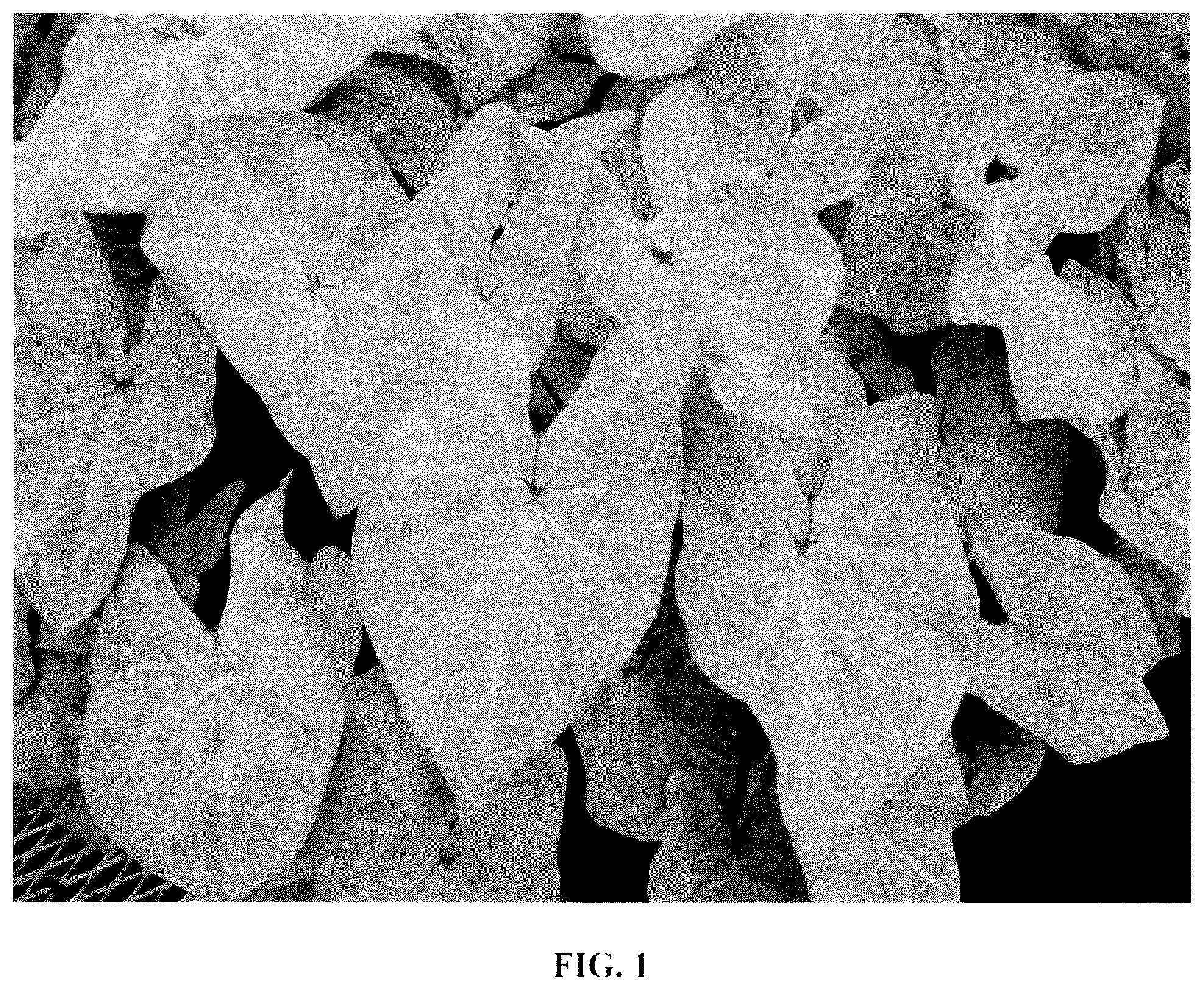 Patent USPP037056 Figure 1 – Caladium plant named ‘UF-R301’