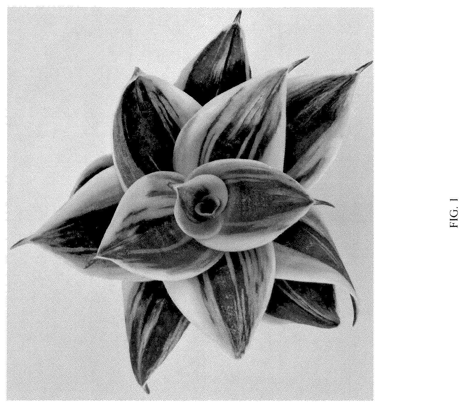 Patent USPP037058 Figure 1 – Sansevieria plant named ‘Hansoti46’