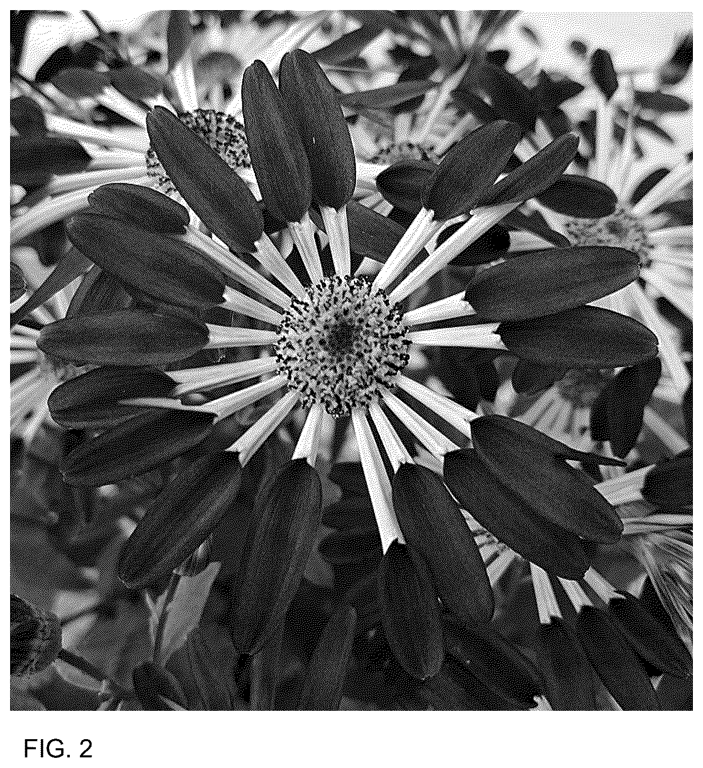 Patent USPP037063 Figure 2 – Senecio plant named ‘Sene Isifuro’