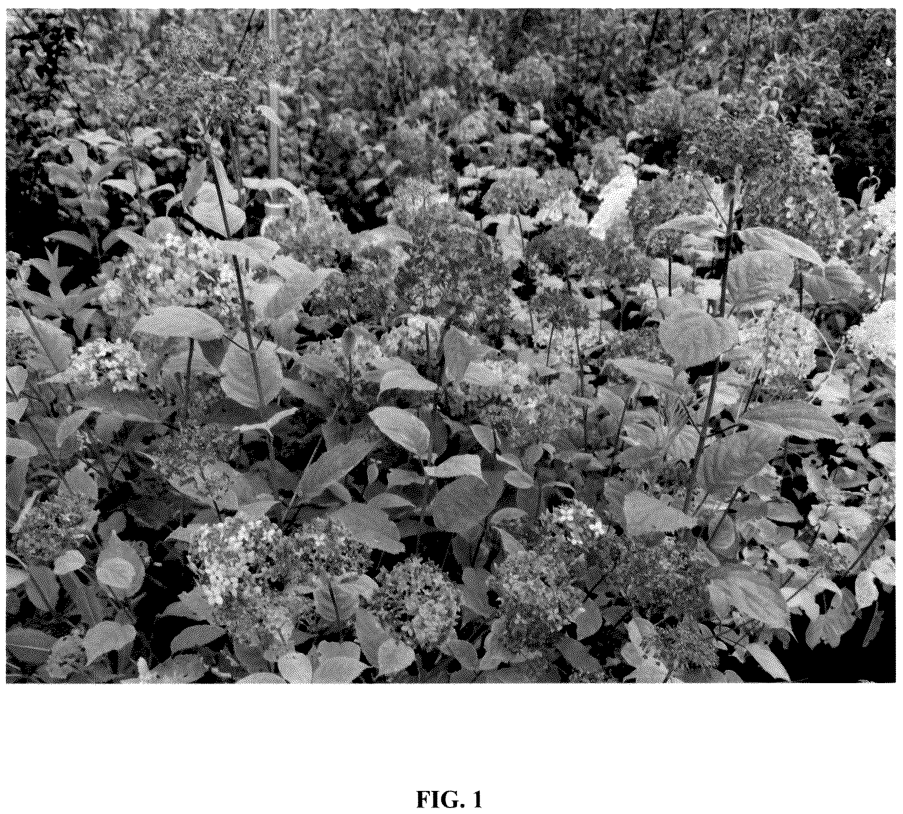 Patent USPP037070 Figure 1 – Hydrangea plant named ‘GRHYAR2008’