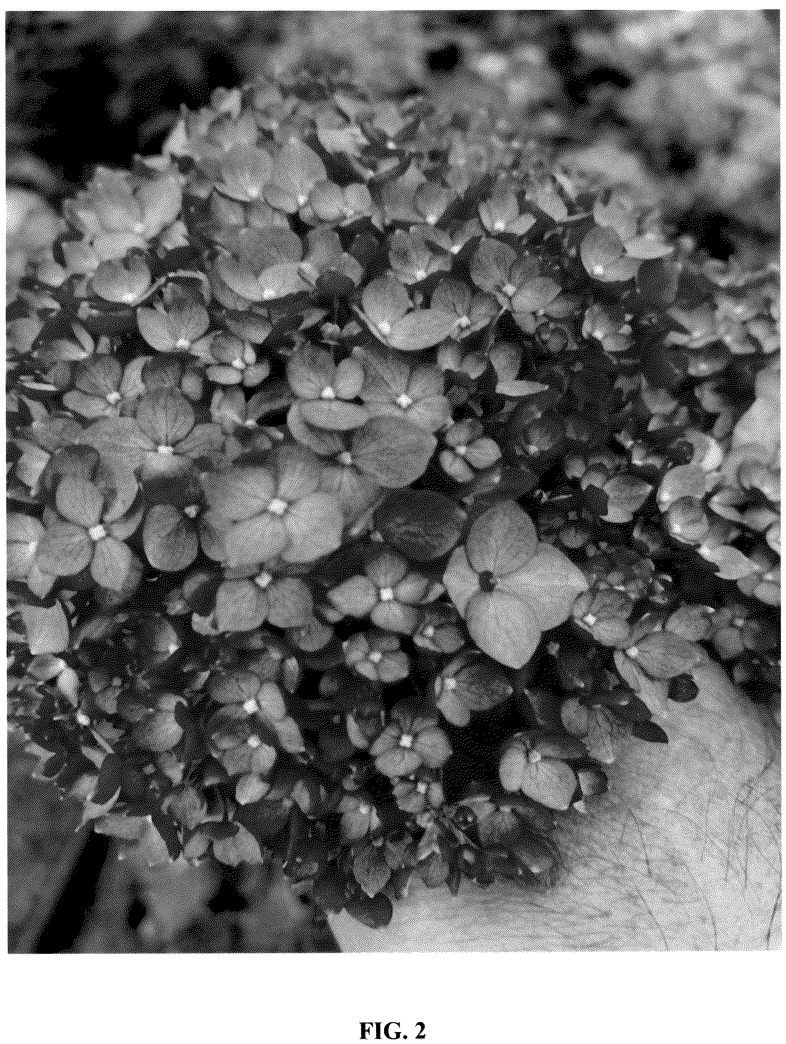 Patent USPP037070 Figure 2 – Hydrangea plant named ‘GRHYAR2008’