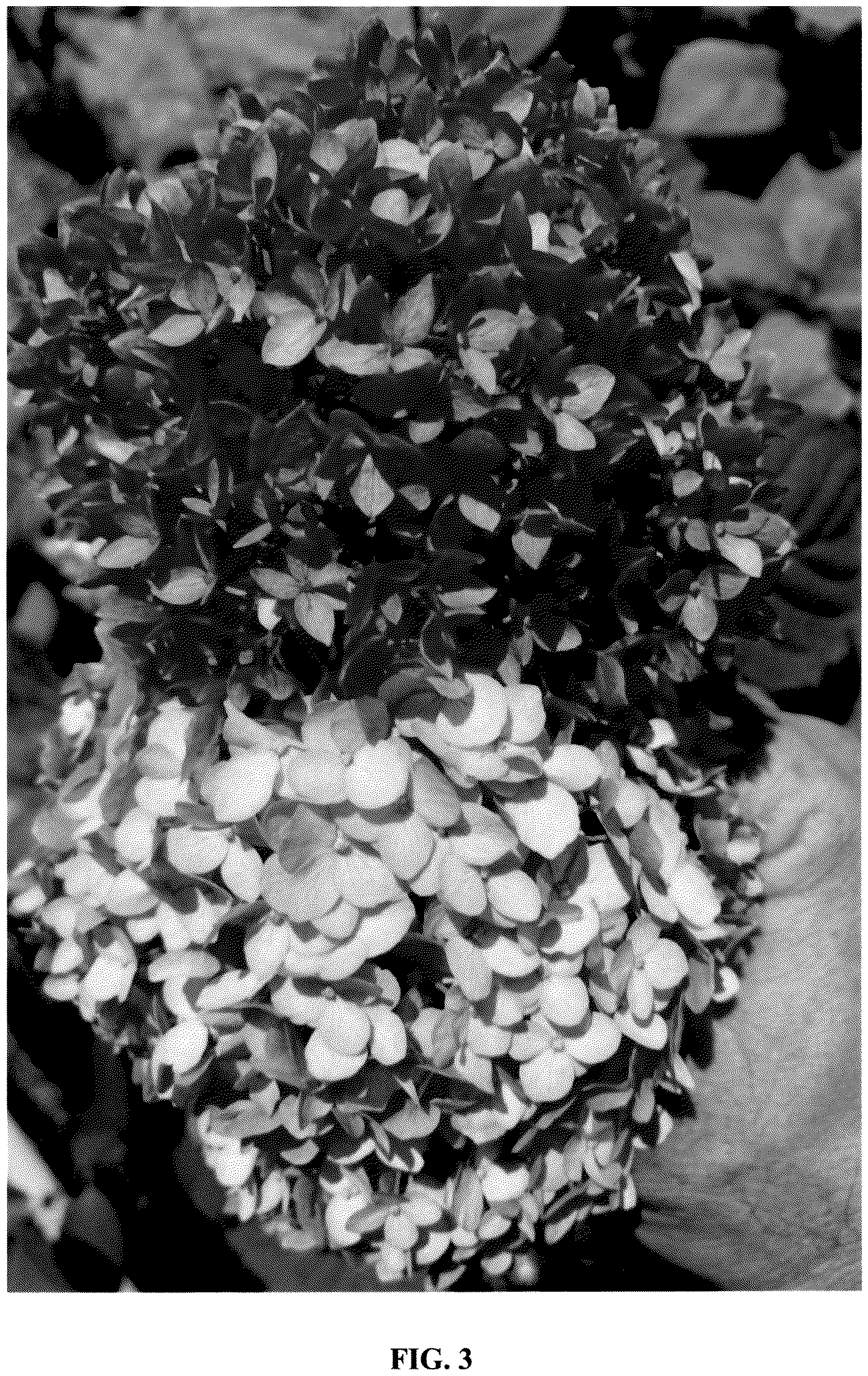 Patent USPP037070 Figure 3 – Hydrangea plant named ‘GRHYAR2008’