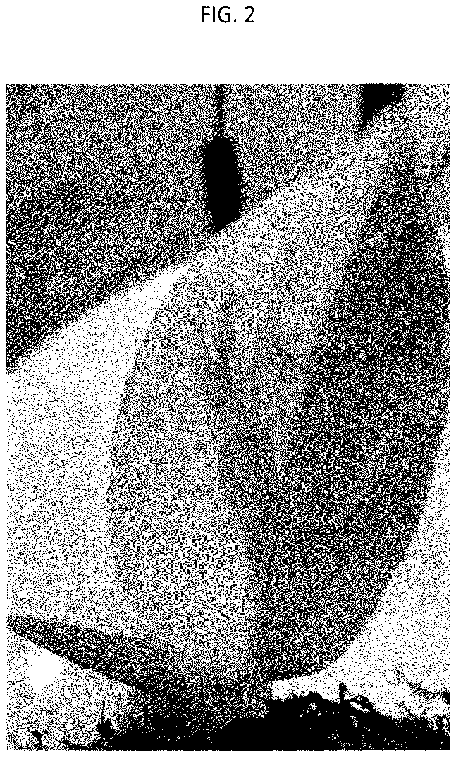 Patent USPP037074 Figure 2 – Philodendron plant named ‘HUTAPD75’