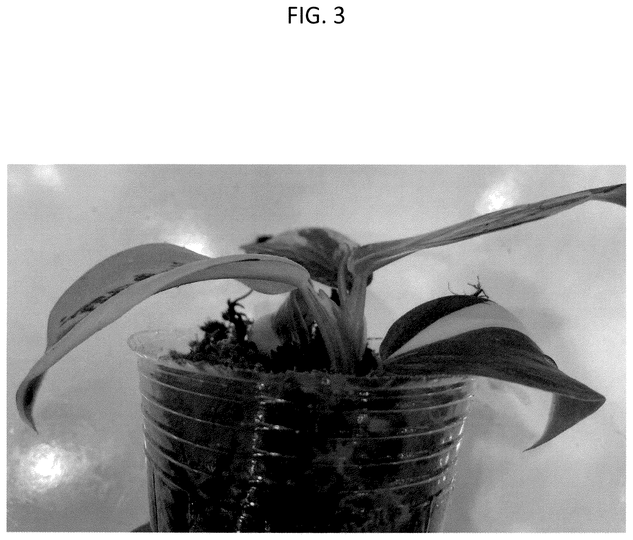 Patent USPP037074 Figure 3 – Philodendron plant named ‘HUTAPD75’