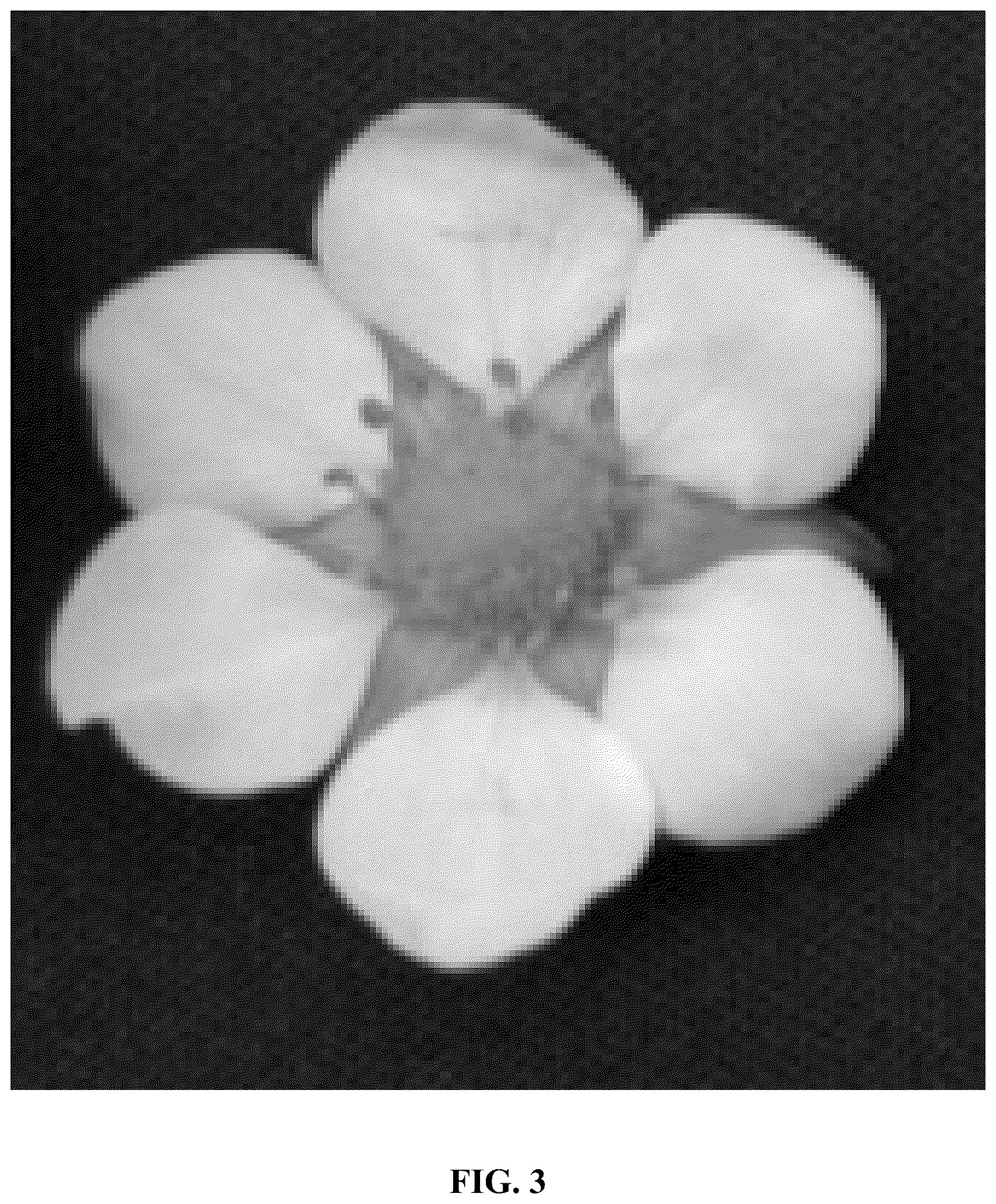 Patent USPP037082 Figure 3 – Strawberry plant variety named ‘Gold Berry’