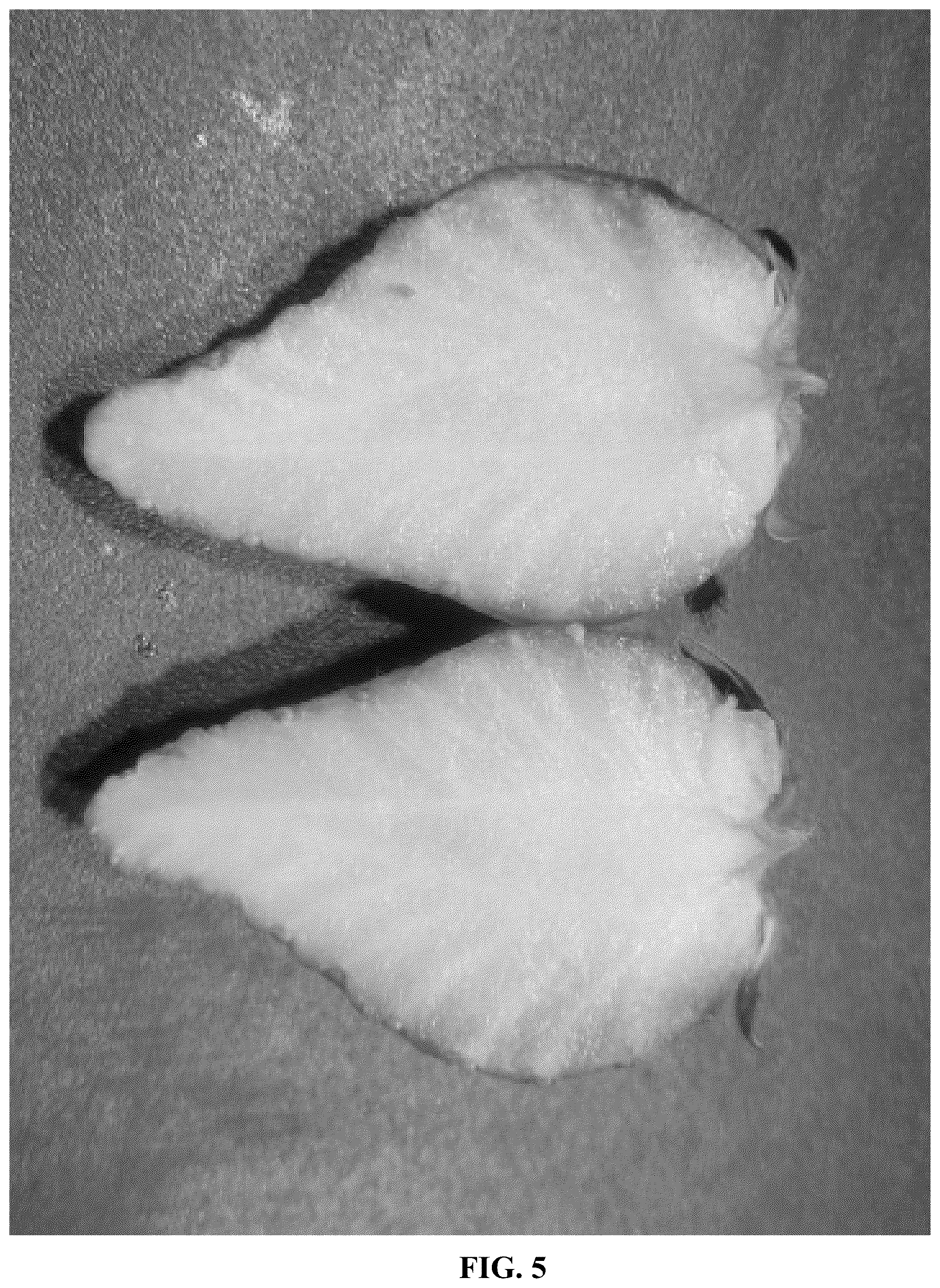 Patent USPP037082 Figure 5 – Strawberry plant variety named ‘Gold Berry’