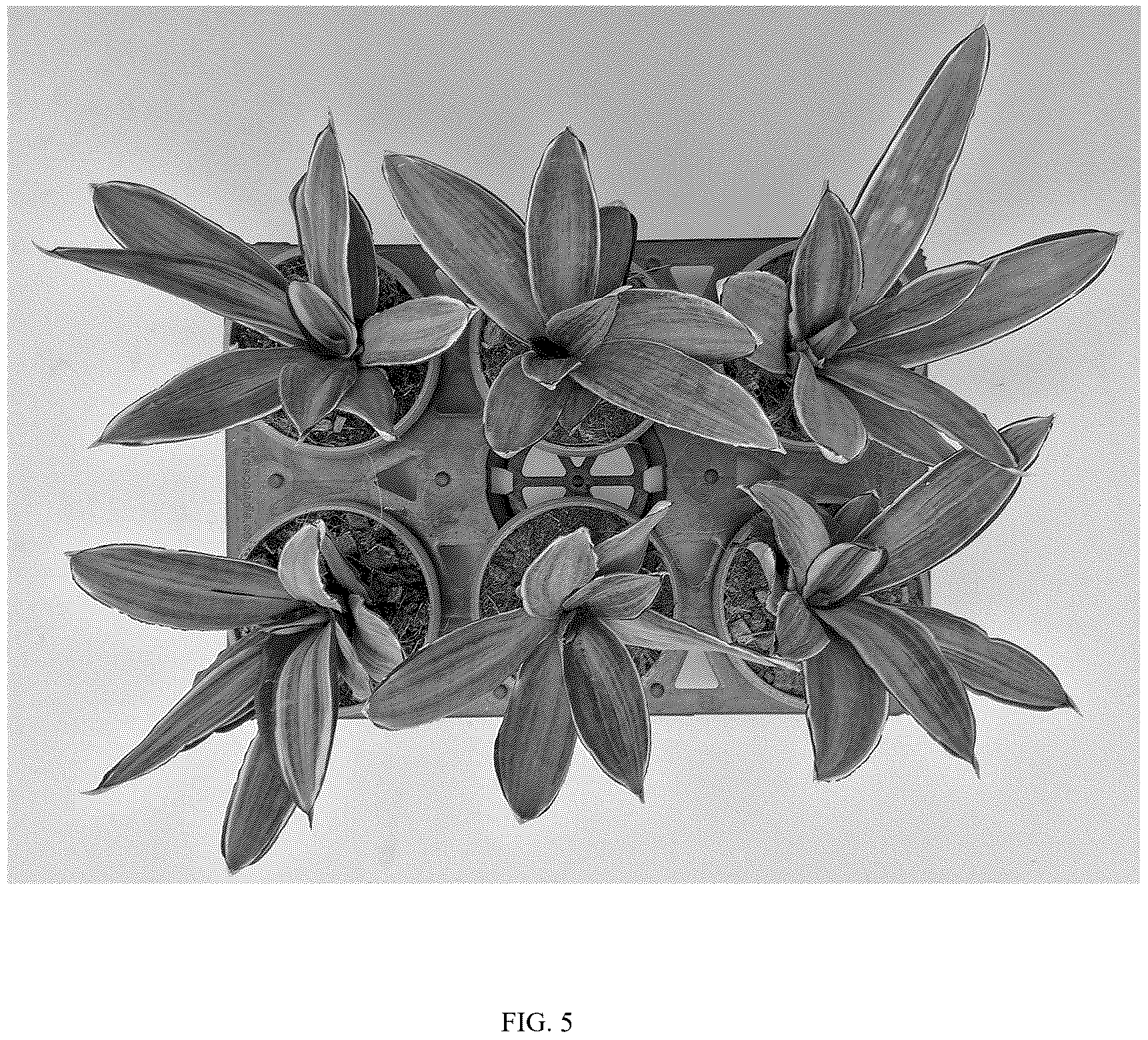 Patent USPP037096 Figure 5 – Sansevieria plant named ‘HANSOTI59’