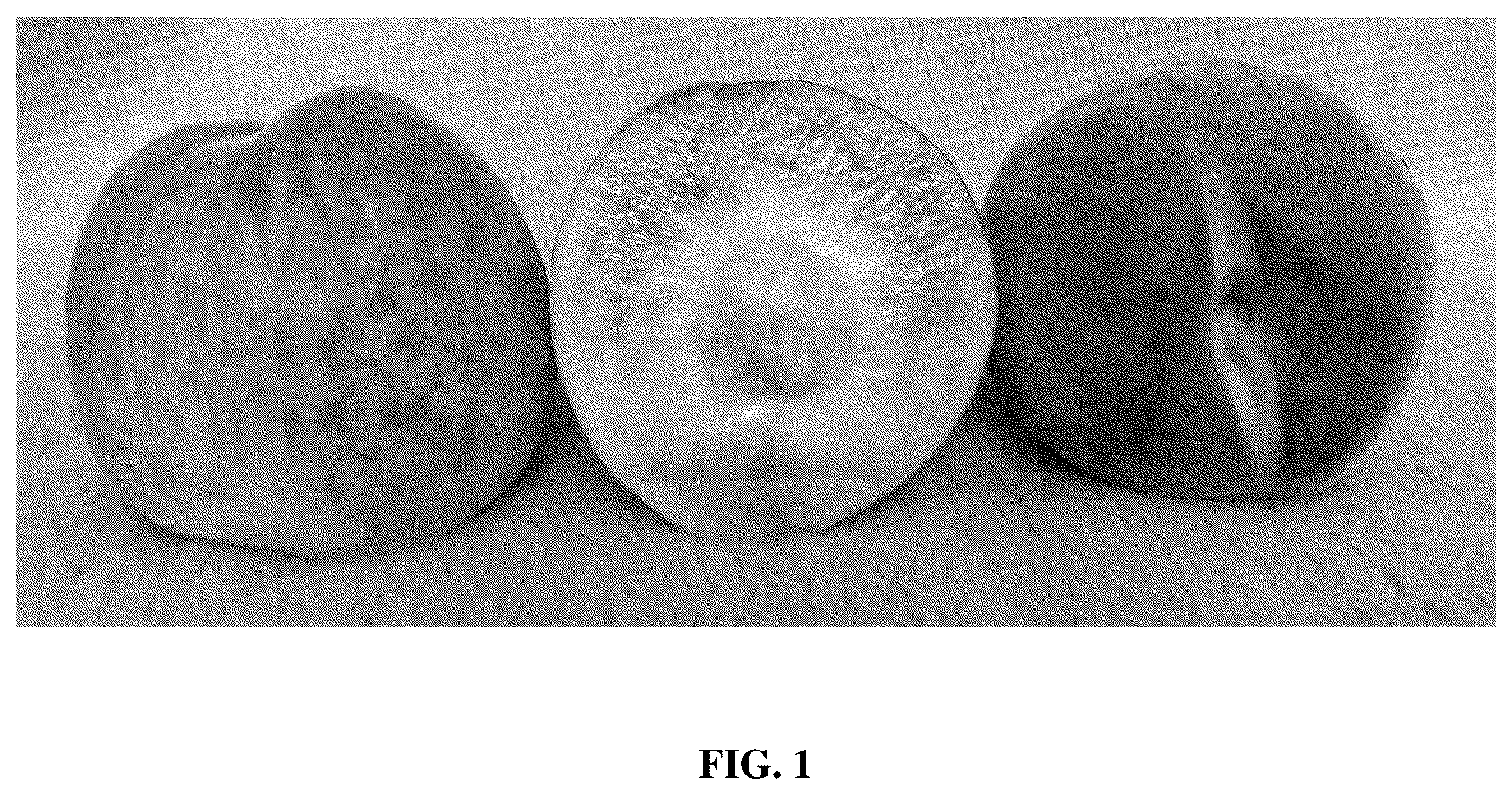 Patent USPP037104 Figure 1 – Peach tree named ‘TRH1A95’