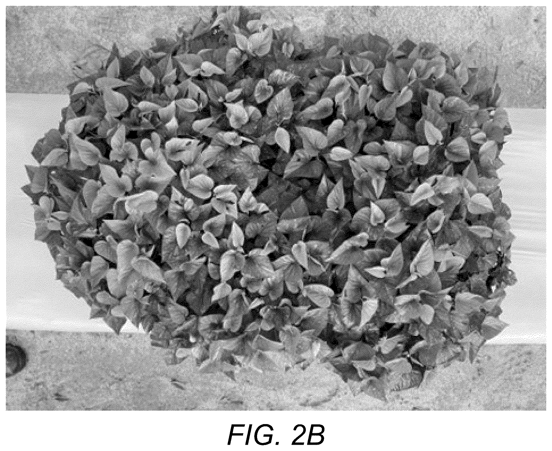 Patent USPP037109 Figure 4 – Sweetpotato plant named ‘NCORNSP-034SCVPG’
