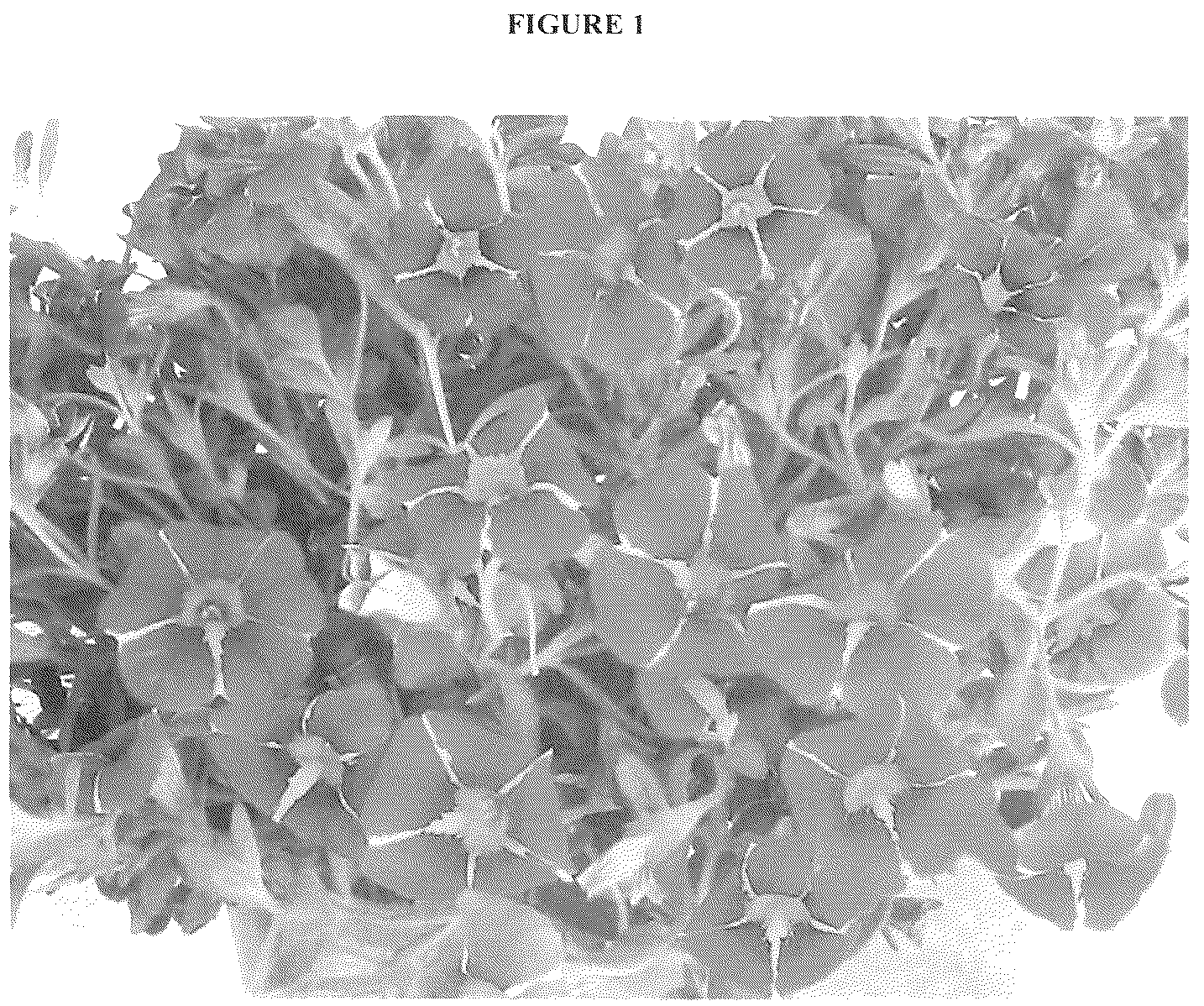 Patent USRE050451 — Calibrachoa plant with radially symmetric coloration — Figure 1