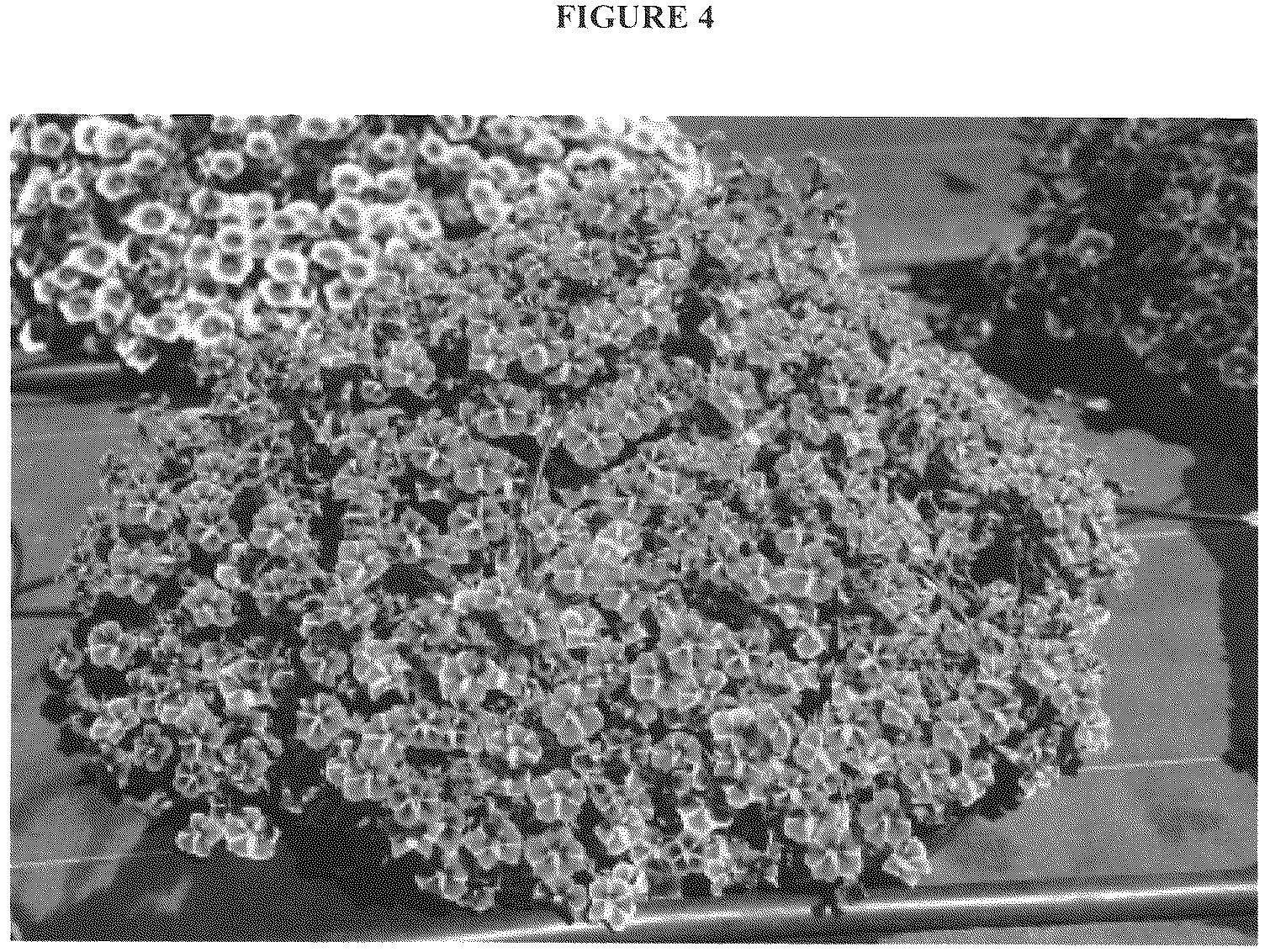 Patent USRE050451 Figure 4 – Calibrachoa plant with radially symmetric coloration