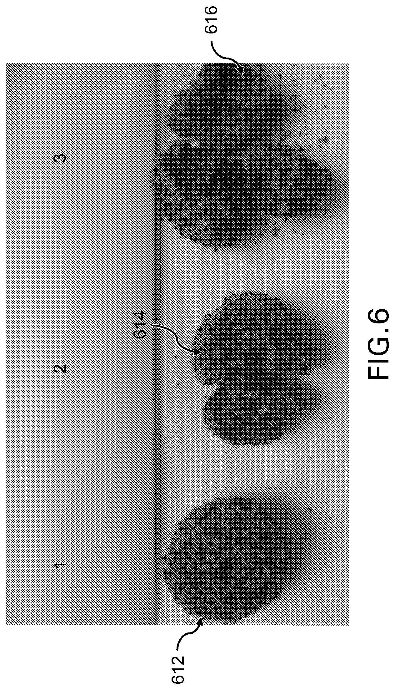 Patent USRE050452 Figure 5 – Cat litter product
