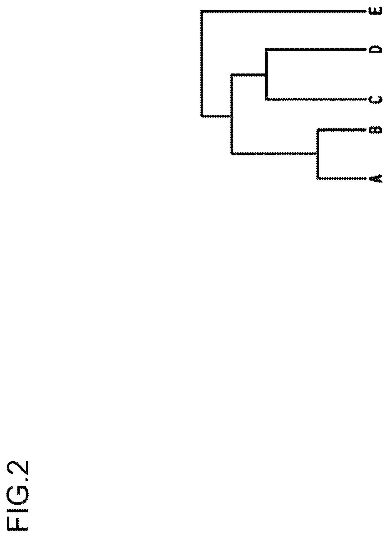 Patent US12541538 Figure 2 – Clustering apparatus, clustering method, and program