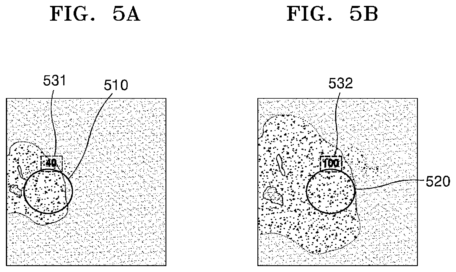 Patent US12541815 Figure 6 – Method and device for outputting pathology slide image