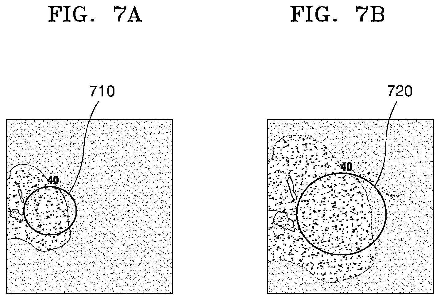 Patent US12541815 Figure 8 – Method and device for outputting pathology slide image